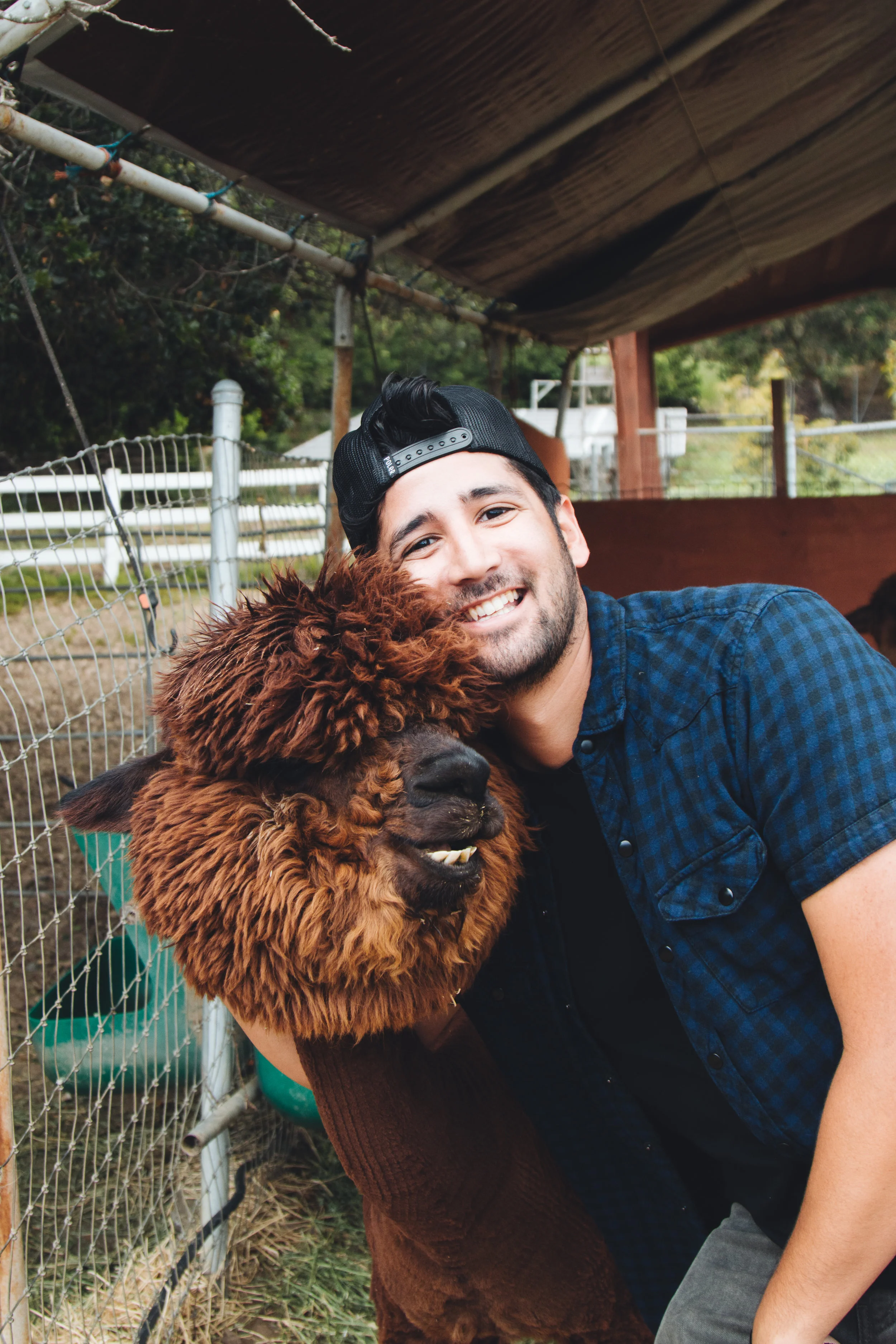 LLAMAsssss (16 of 19).jpg