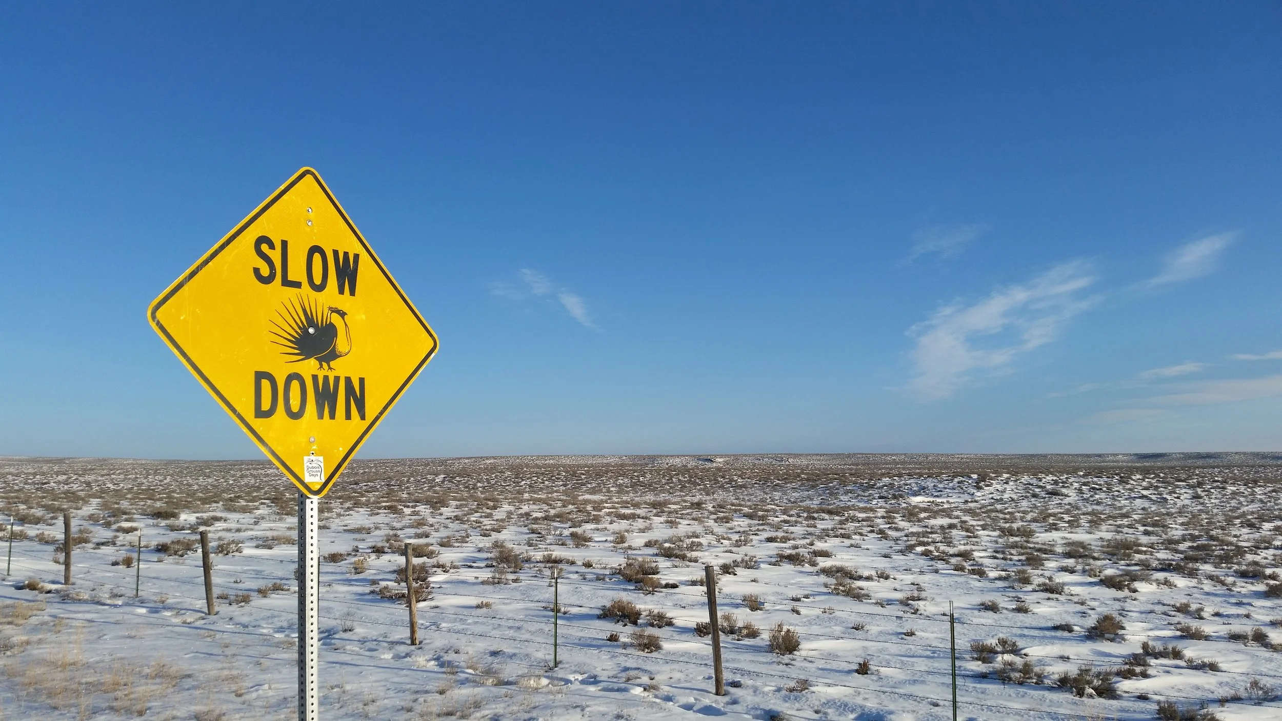 WY_slow down sage grouse country_Seth Gallagher.jpg