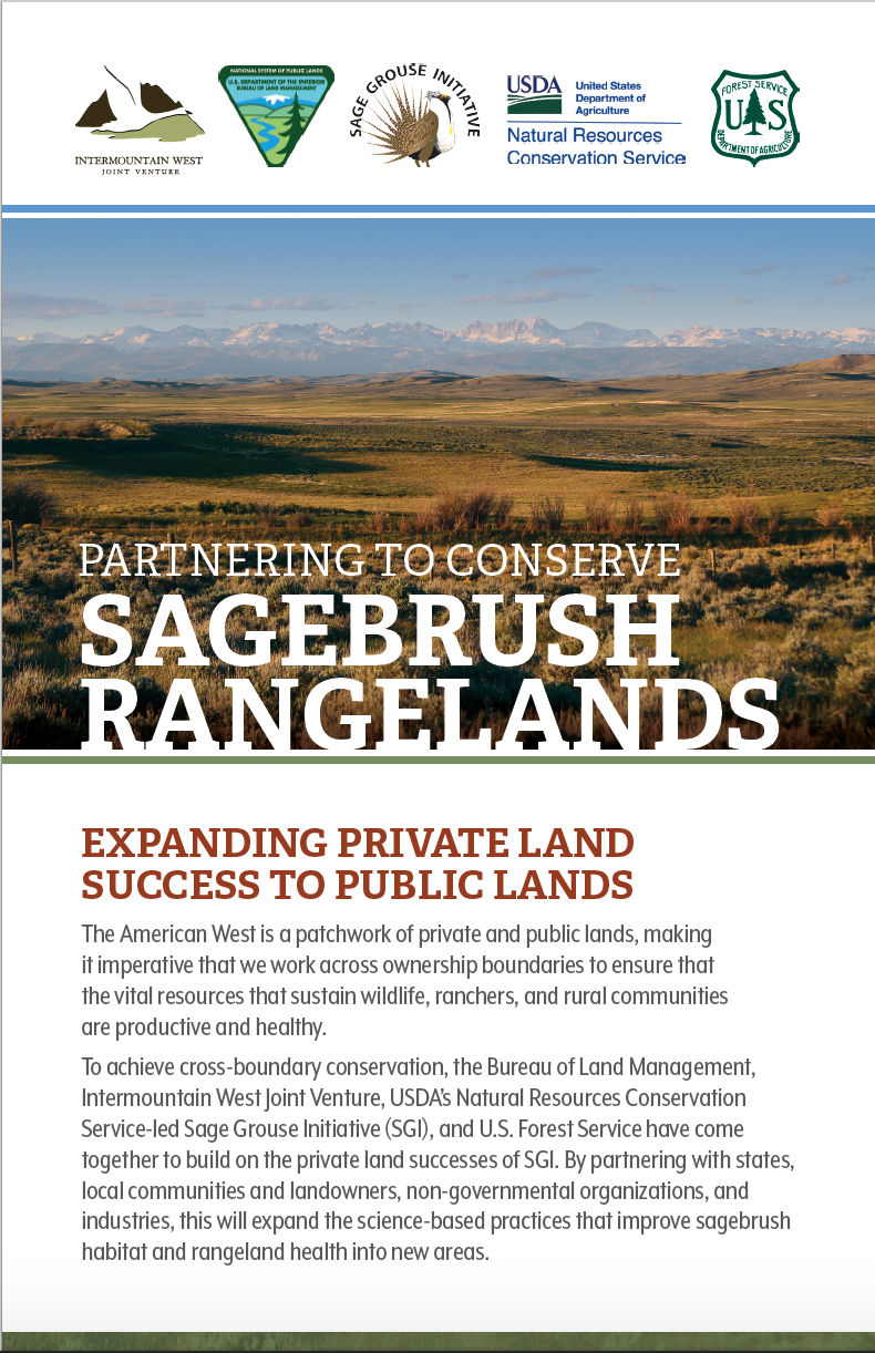 Sagebrush Rangeland Partnership Brochure — Partners in the Sage