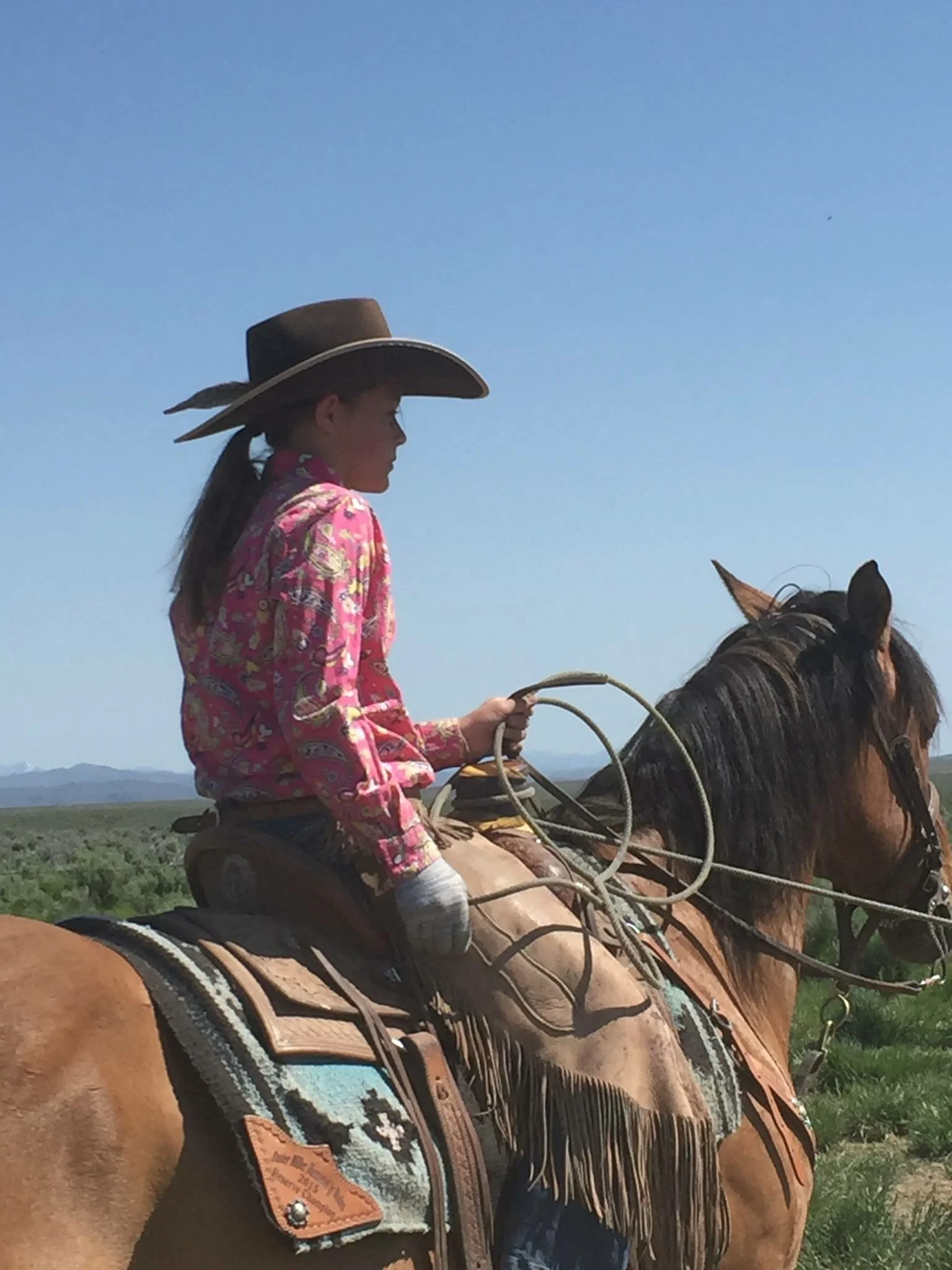 To Be a Part of Sagebrush Country