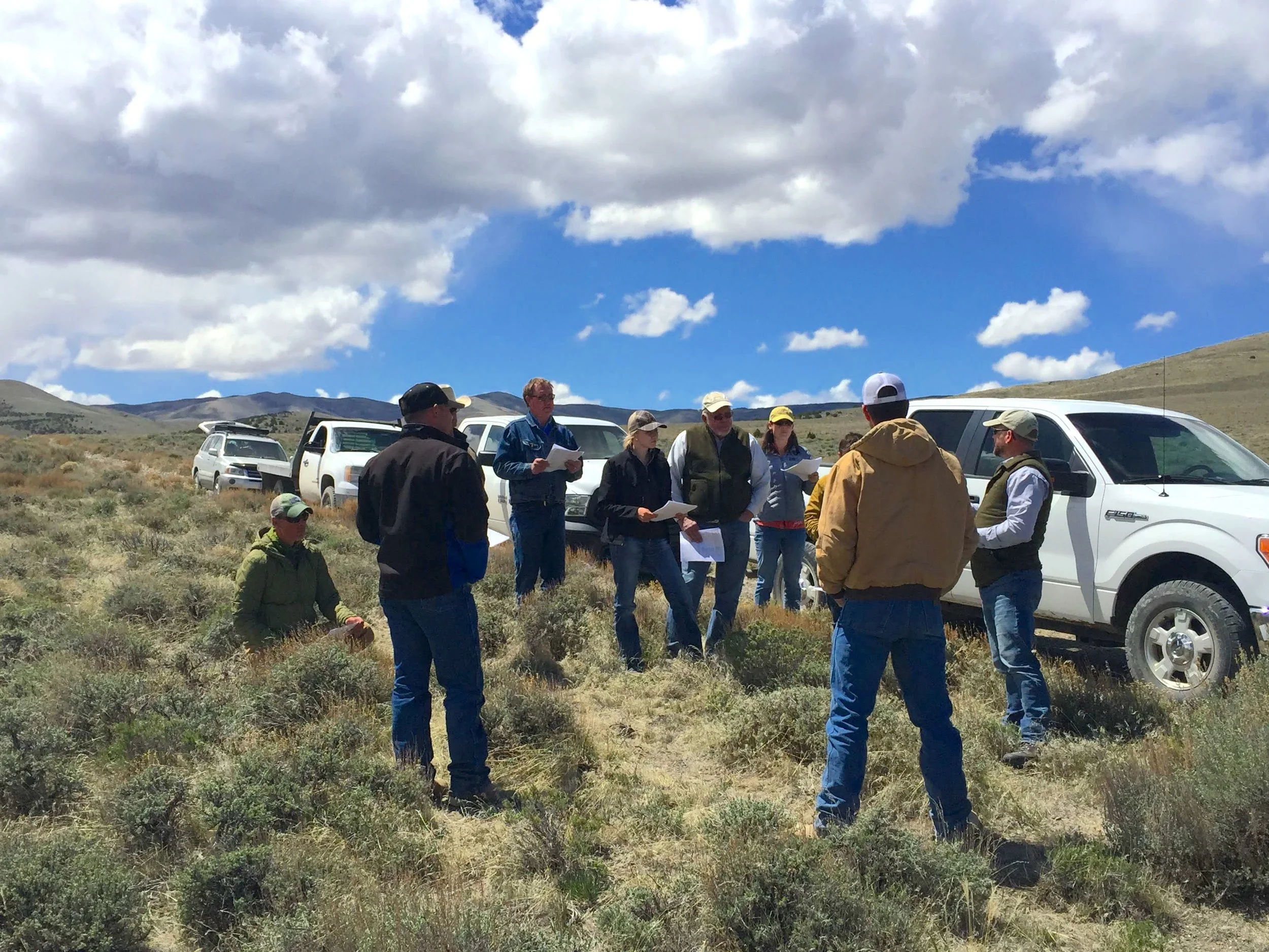Communication as a Key to Conservation