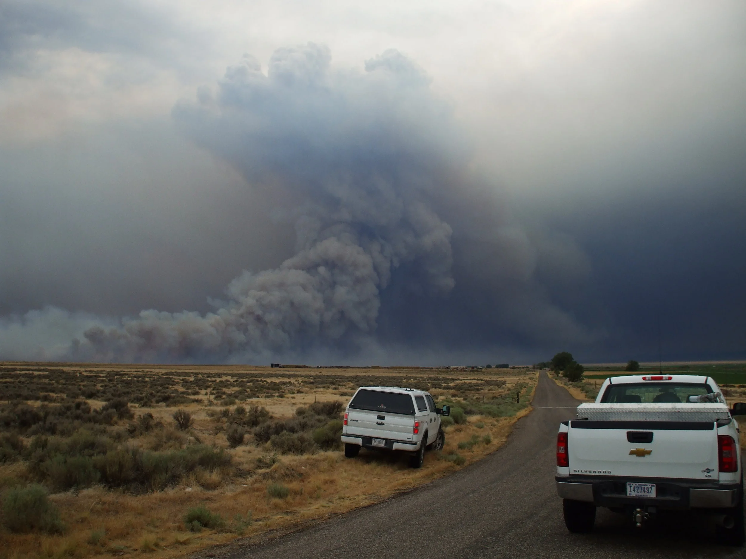 Typical fire frequency in West Box Elder ranges from 50 – 100 years in low elevation sagebrush communities. However, when fire occurs and the annual grasses move in, the fire frequency can increase to every 1 – 3 years. Photo courtesy of the Utah BLM.