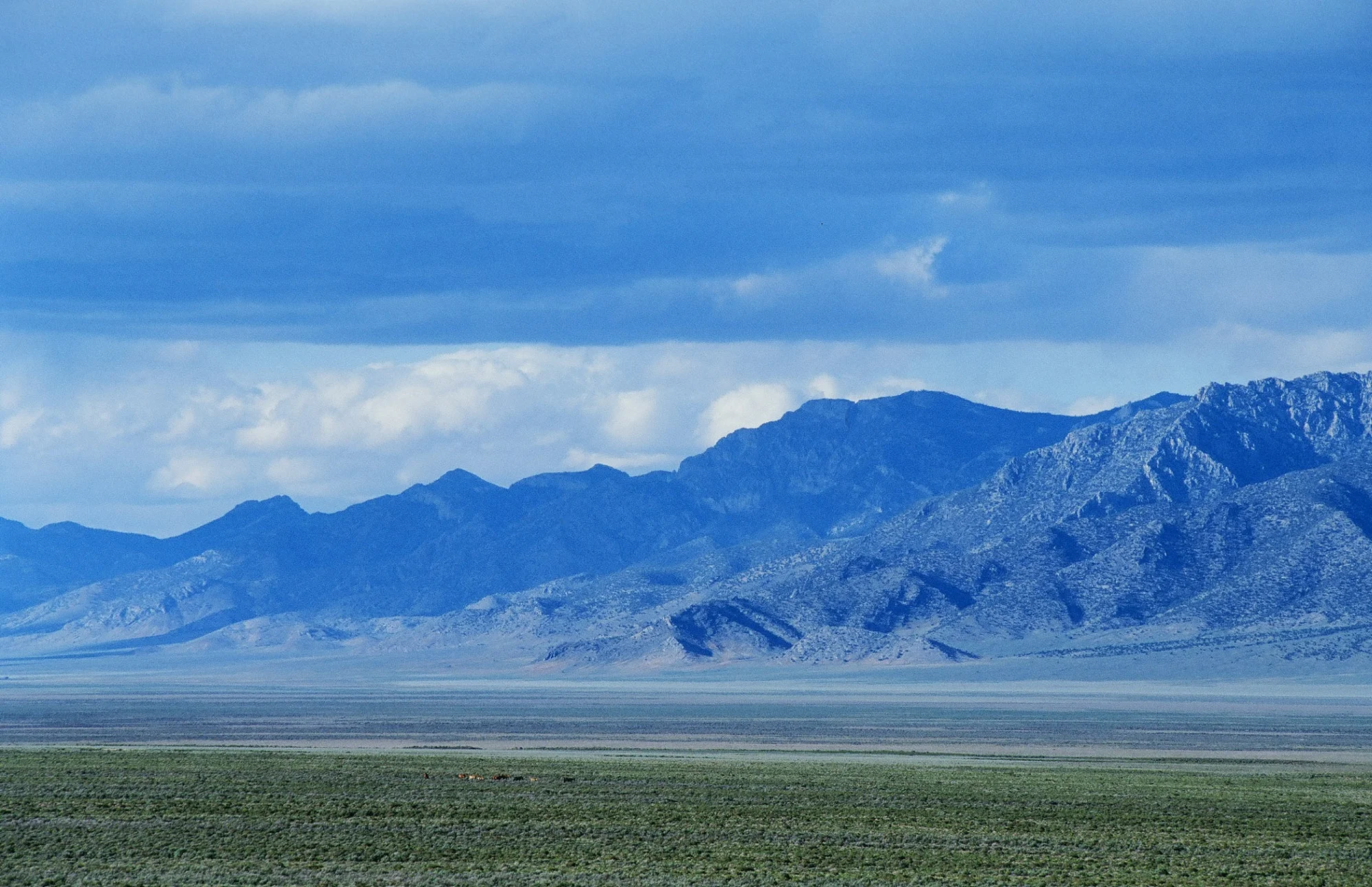 Photo courtesy of the BLM.