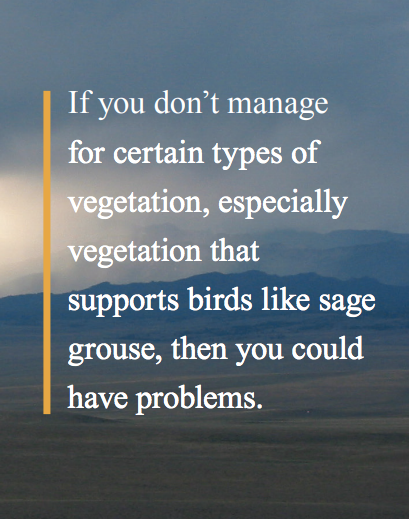 Screen Shot 2019-09-17 at 10.31.18 AM.png