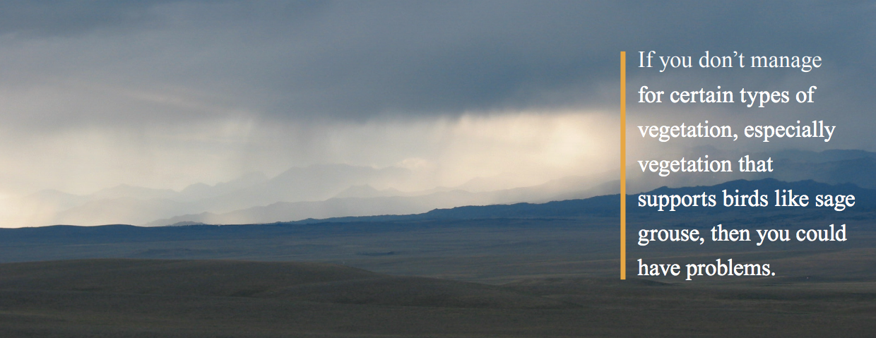 A Sagebrush Sanctuary in Wyoming