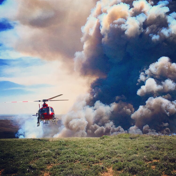 Editor’s note: This U.S. Forest Service publication provides detailed techniques for selecting the most appropriate treatments for managing pinyon-juniper encroachment in sagebrush-steppe ecosystems. Download it here . Photo of a prescribed burn by the Bureau of Land Management.