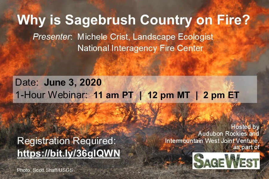 Why is Sagebrush Country on Fire? — Partners in the Sage