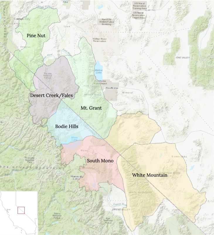 Pictured here is the Bi-State region on the California-Nevada border and it’s six Population Management Units for Bi-State Sage-grouse.