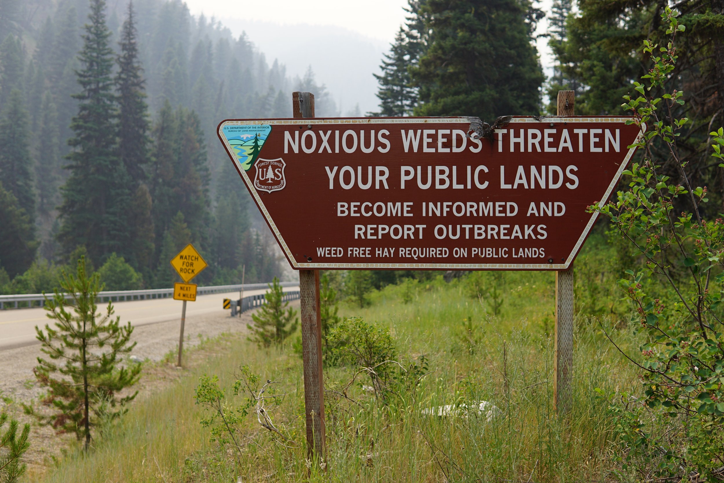 ID_2021weeds sign on public lands_Hannah Nikonow.JPG