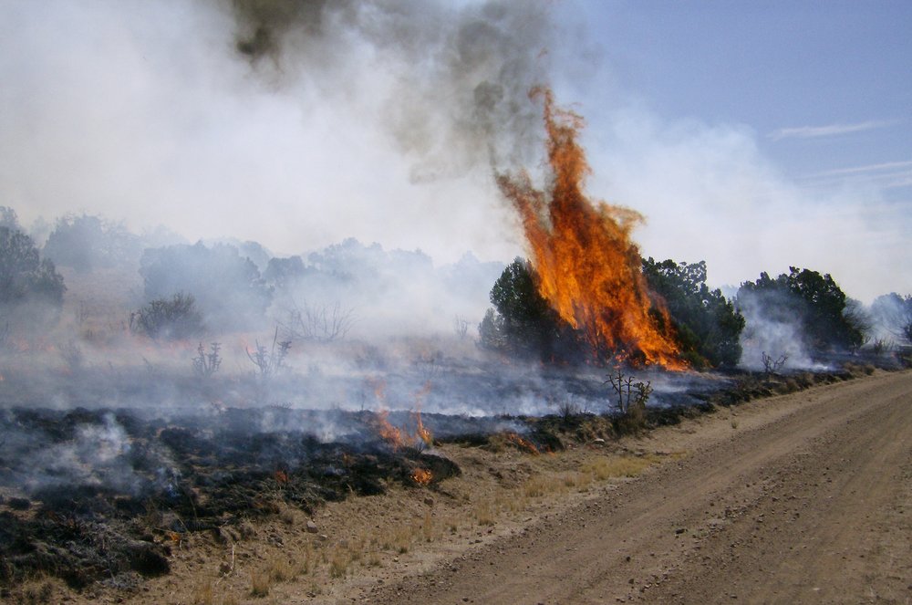 Mesa_Fire_09-1.jpg