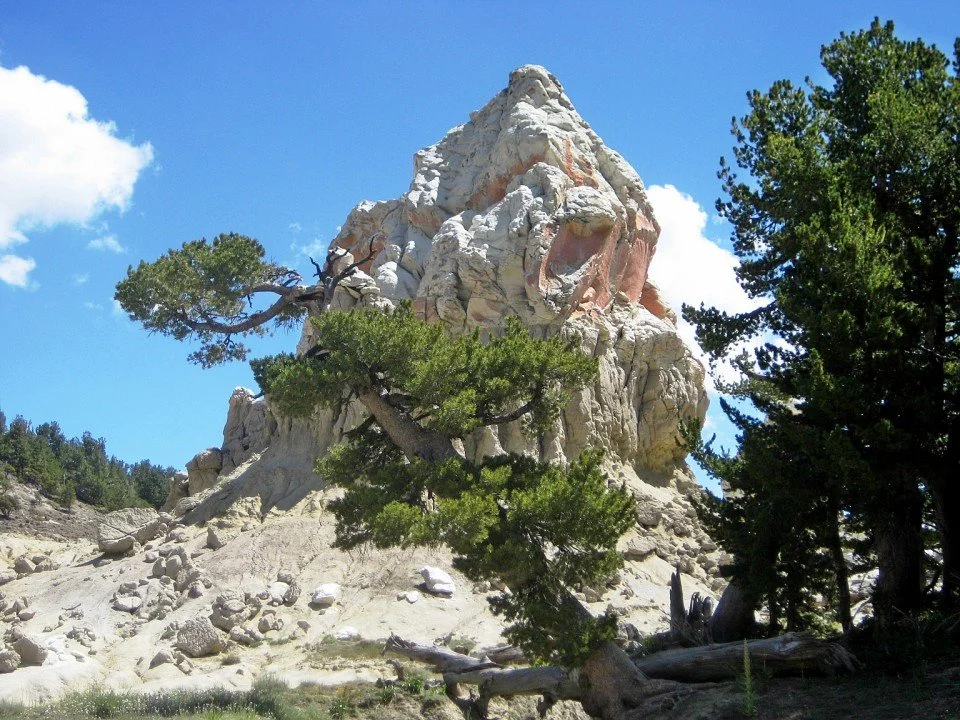 Hiring: Rangeland Conservationist - Northern Sierra Nevada and Southern Cascade Ranges