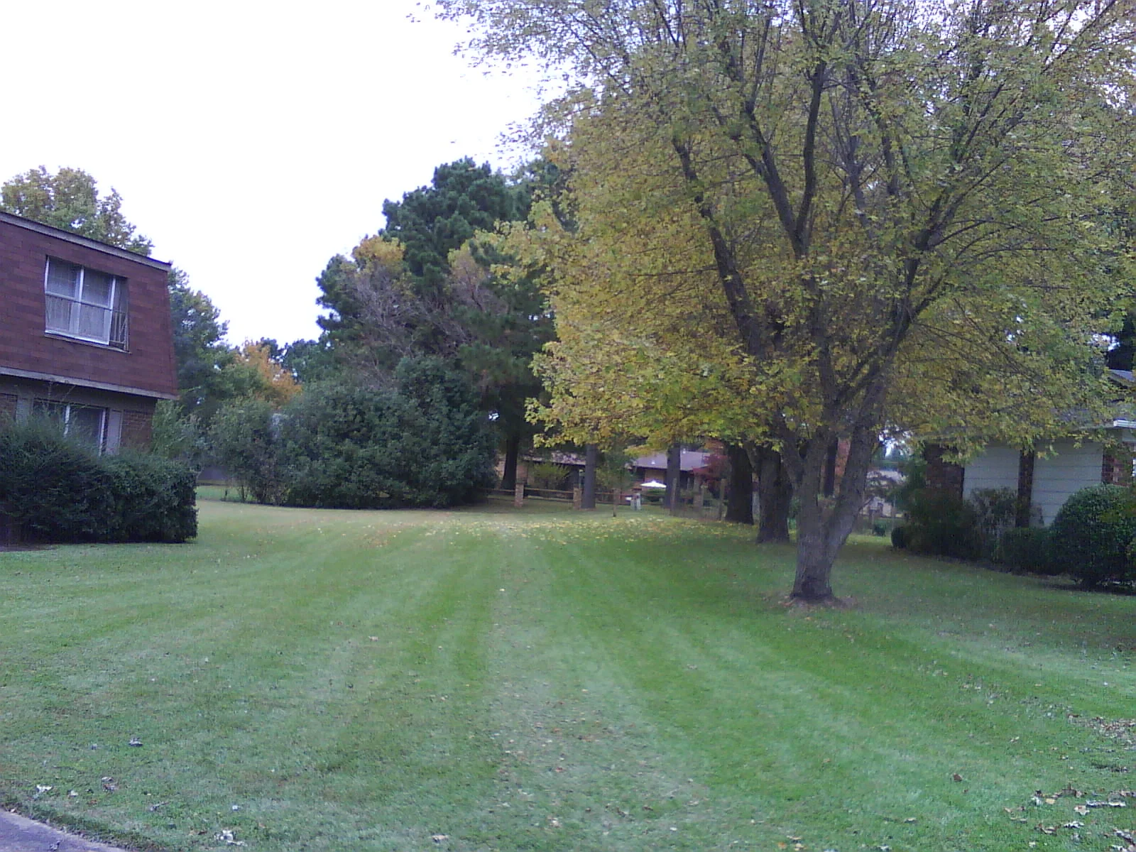  This lawn striped nicely 