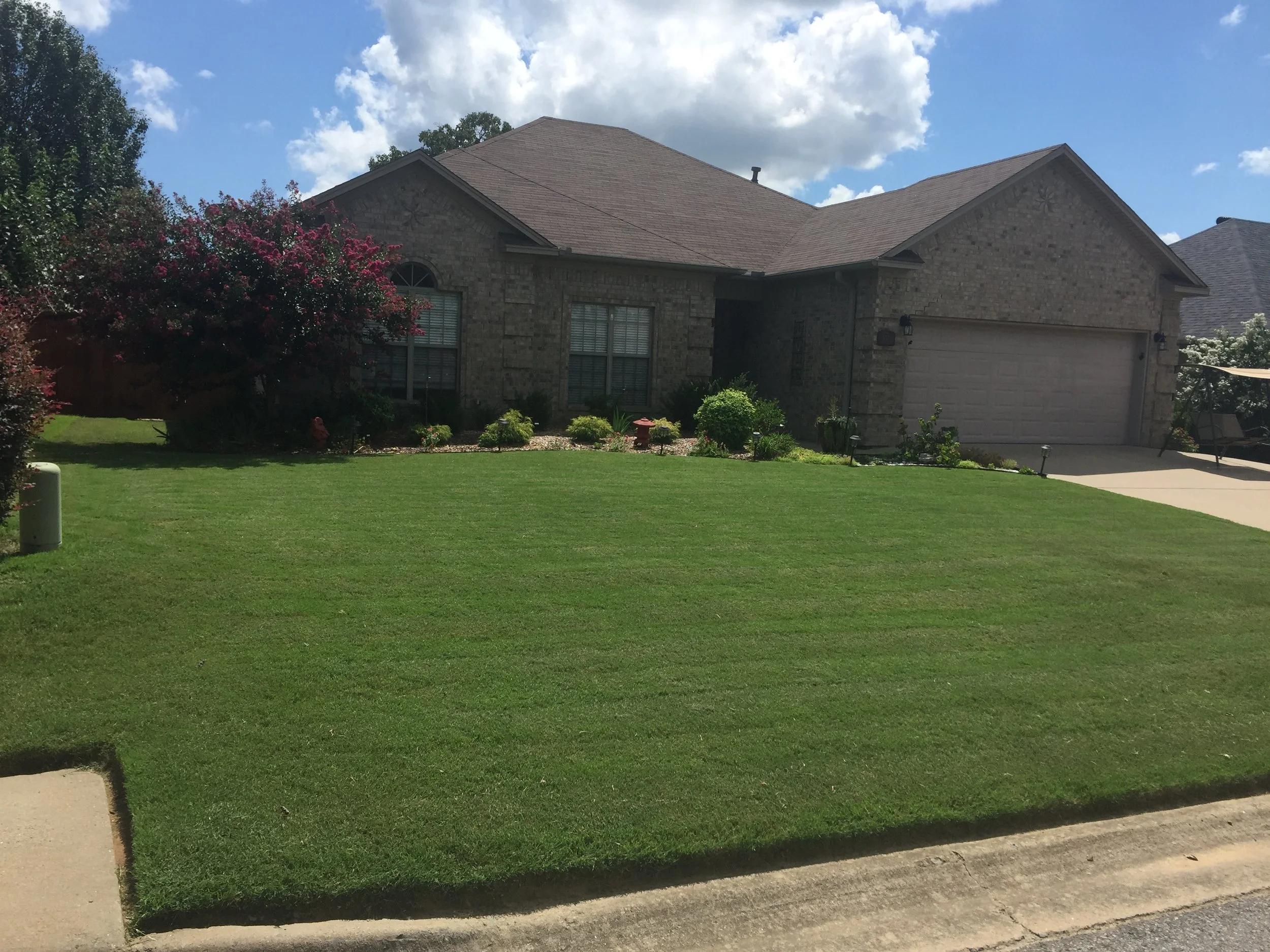  Professional maintained lawn 