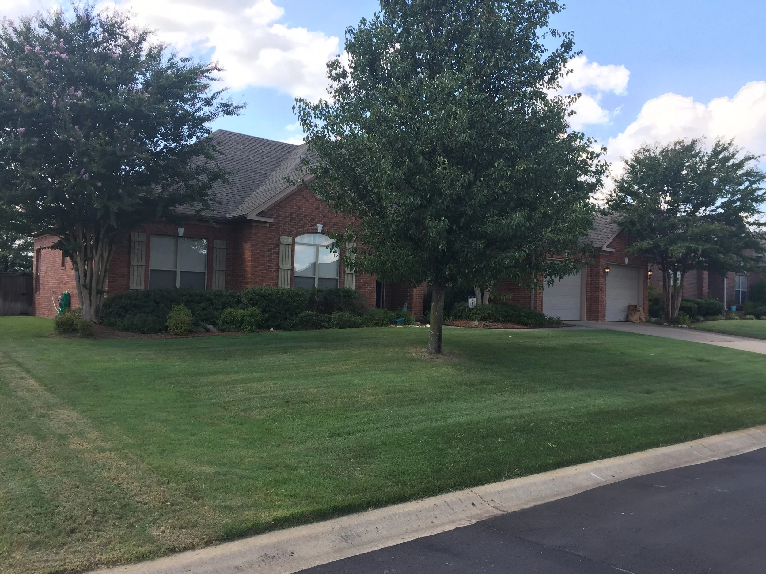  Freshly cut bermuda lawn 