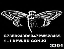 The blurry cicada image. They'll sometimes bury these in images so you can be sure you're getting a real clue.