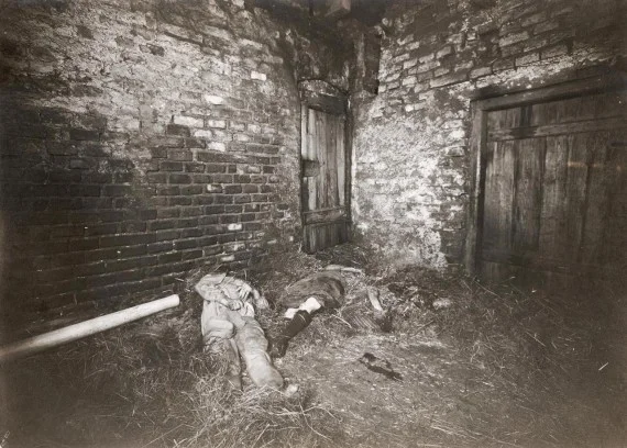 Bodies in the barn