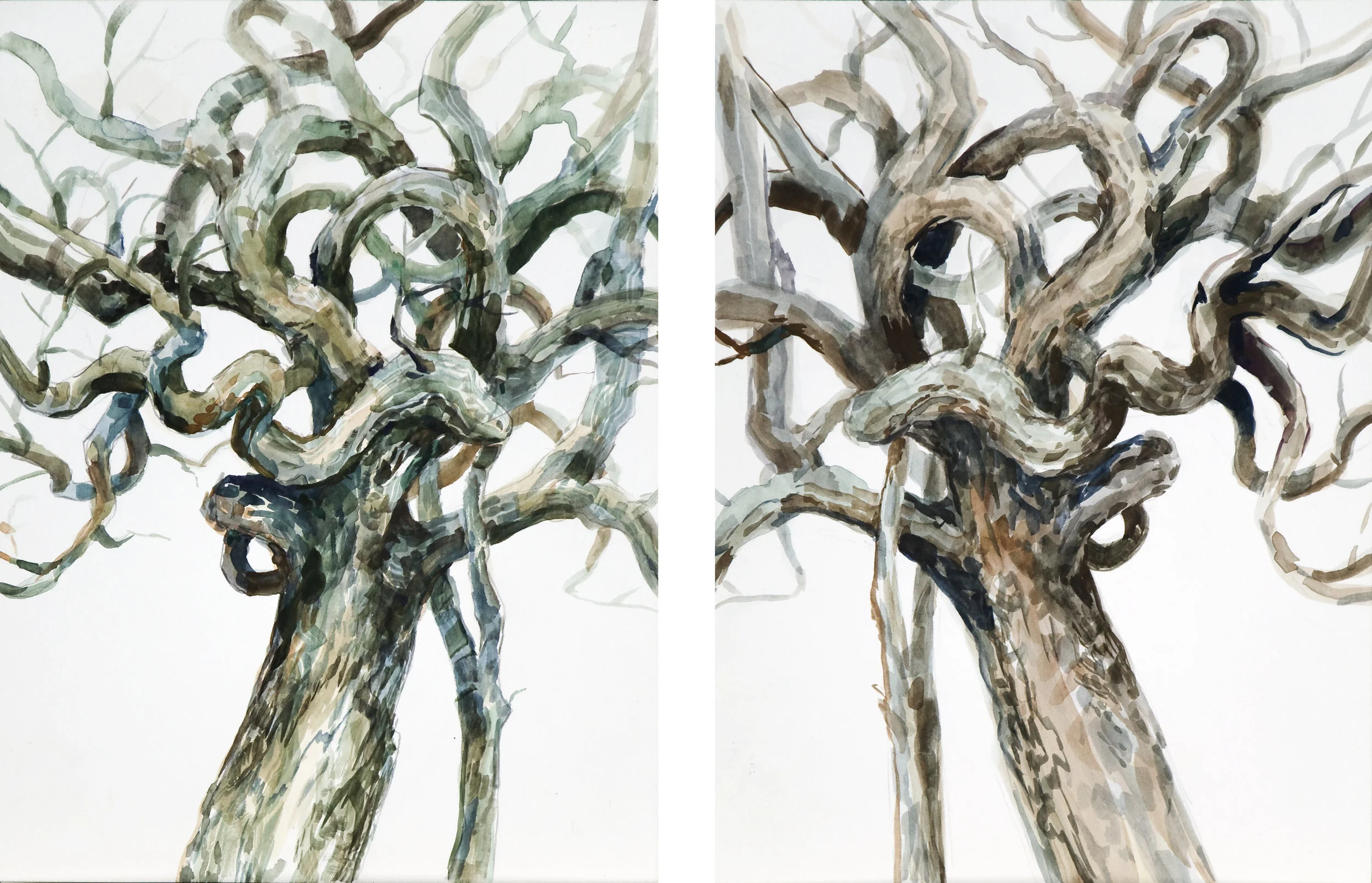 Rorschach 1,2, Watercolor on paper, 12” x 9” each, 2019