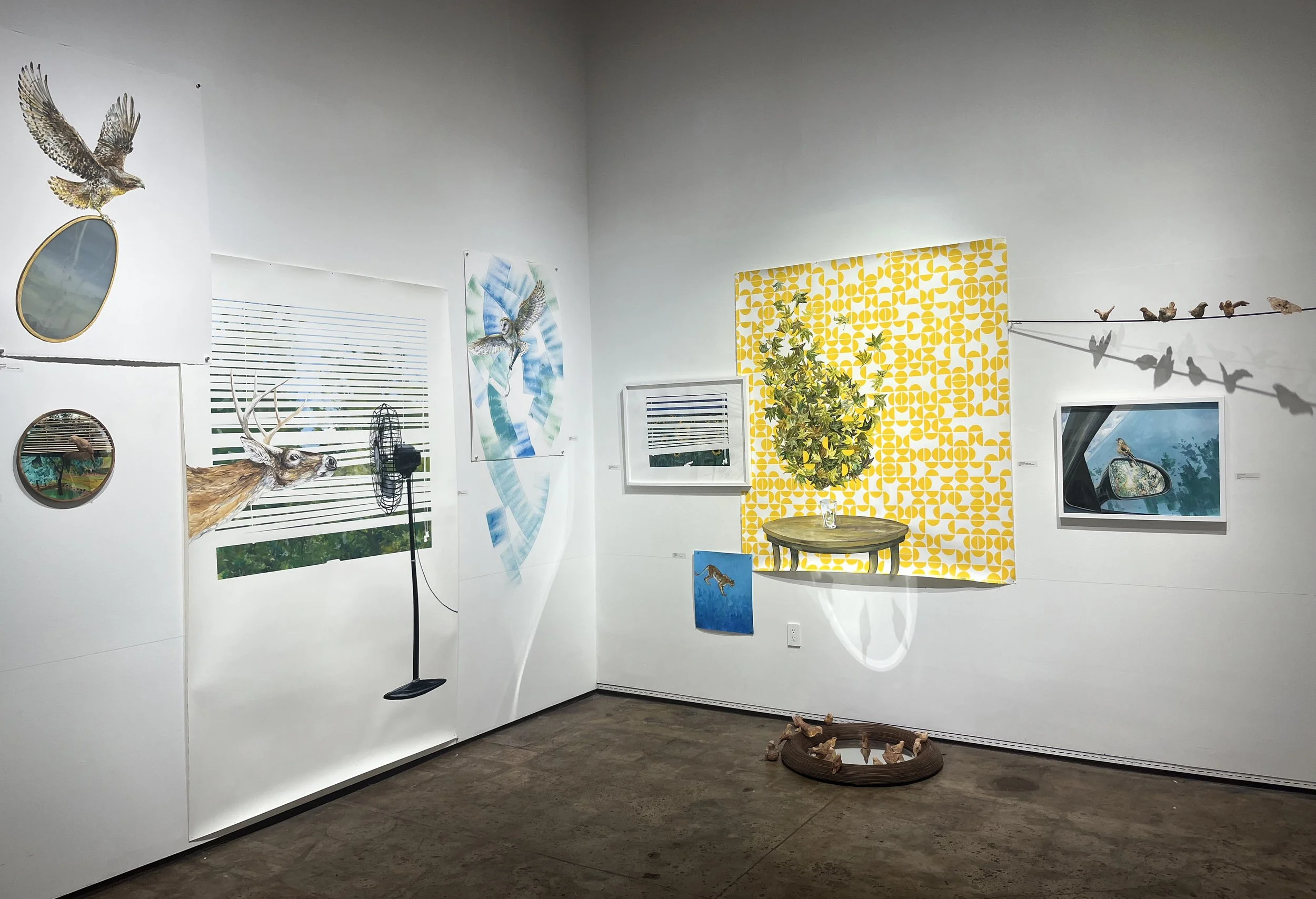 Within Wilds install 9_2025.jpg