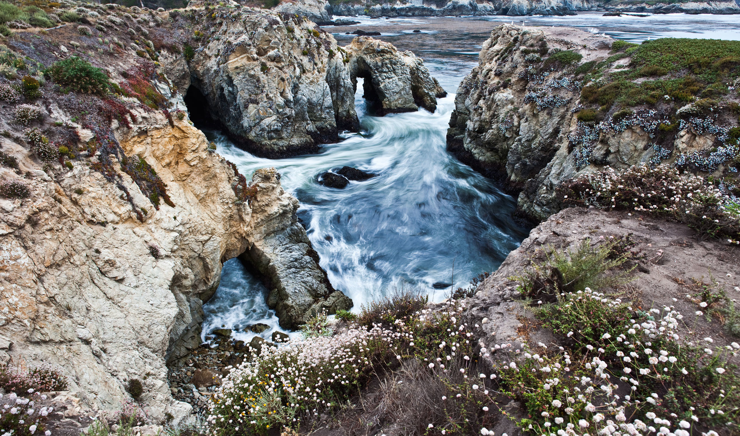  Point Lobos 