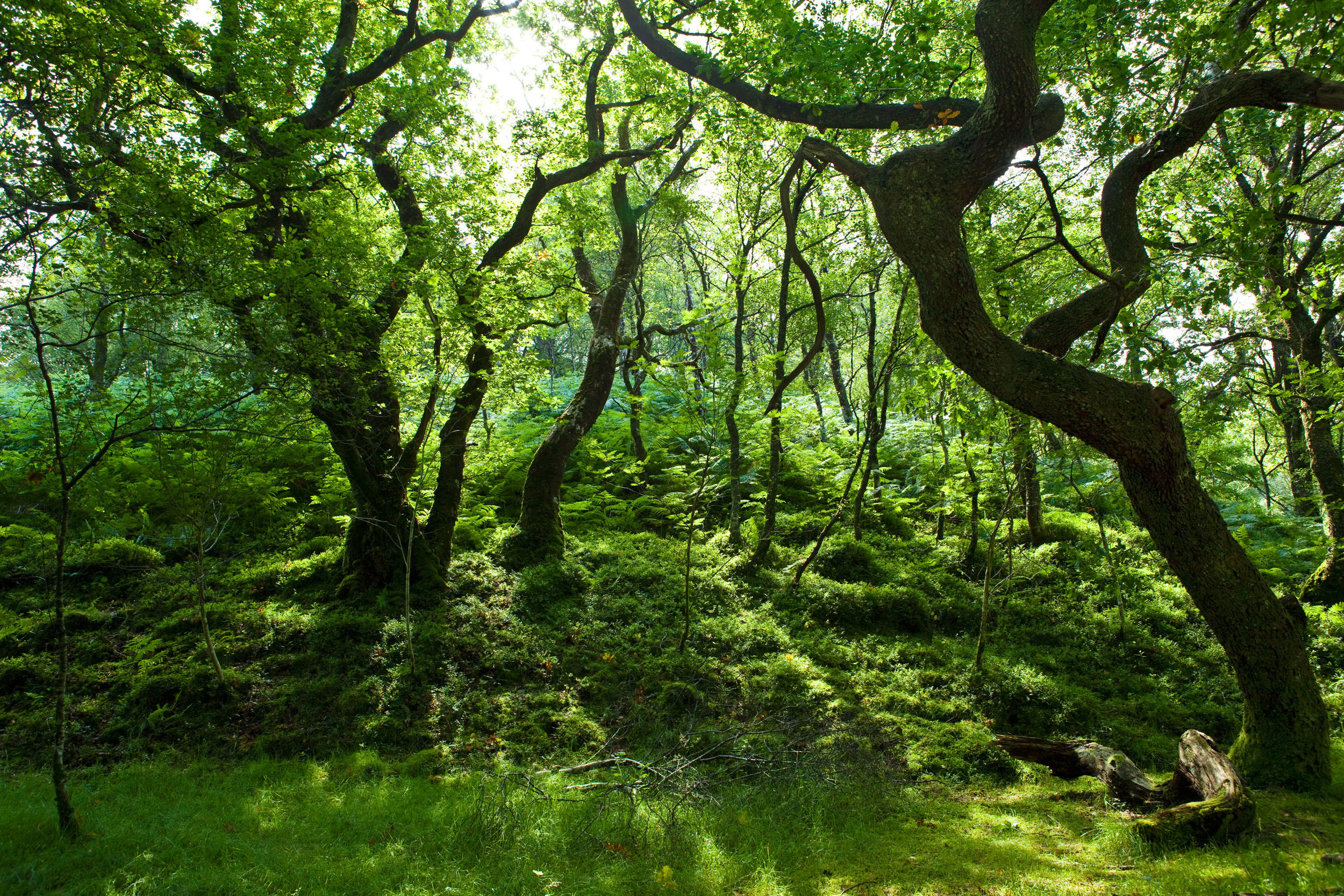  Loch Katrine 