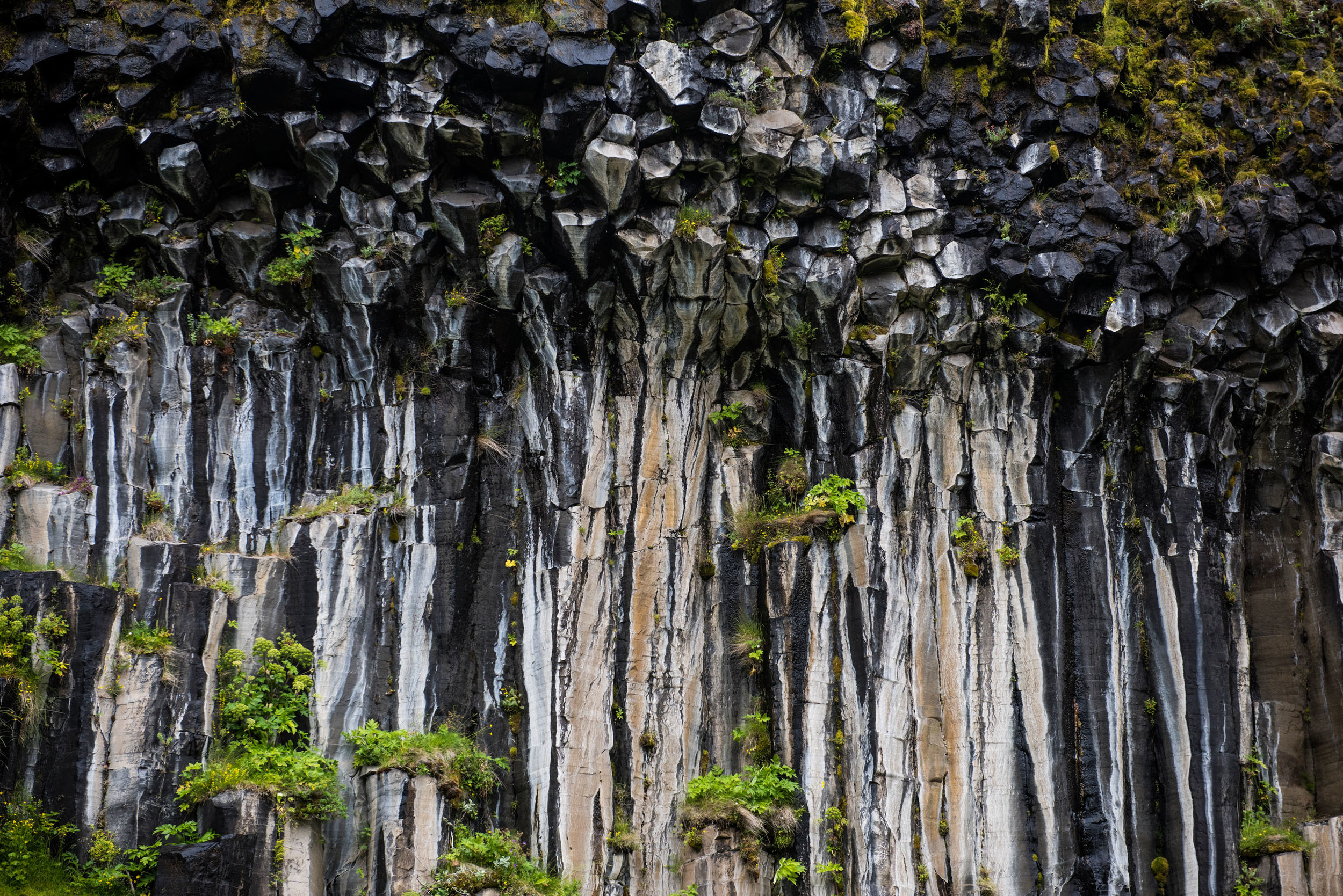  Svartifoss 