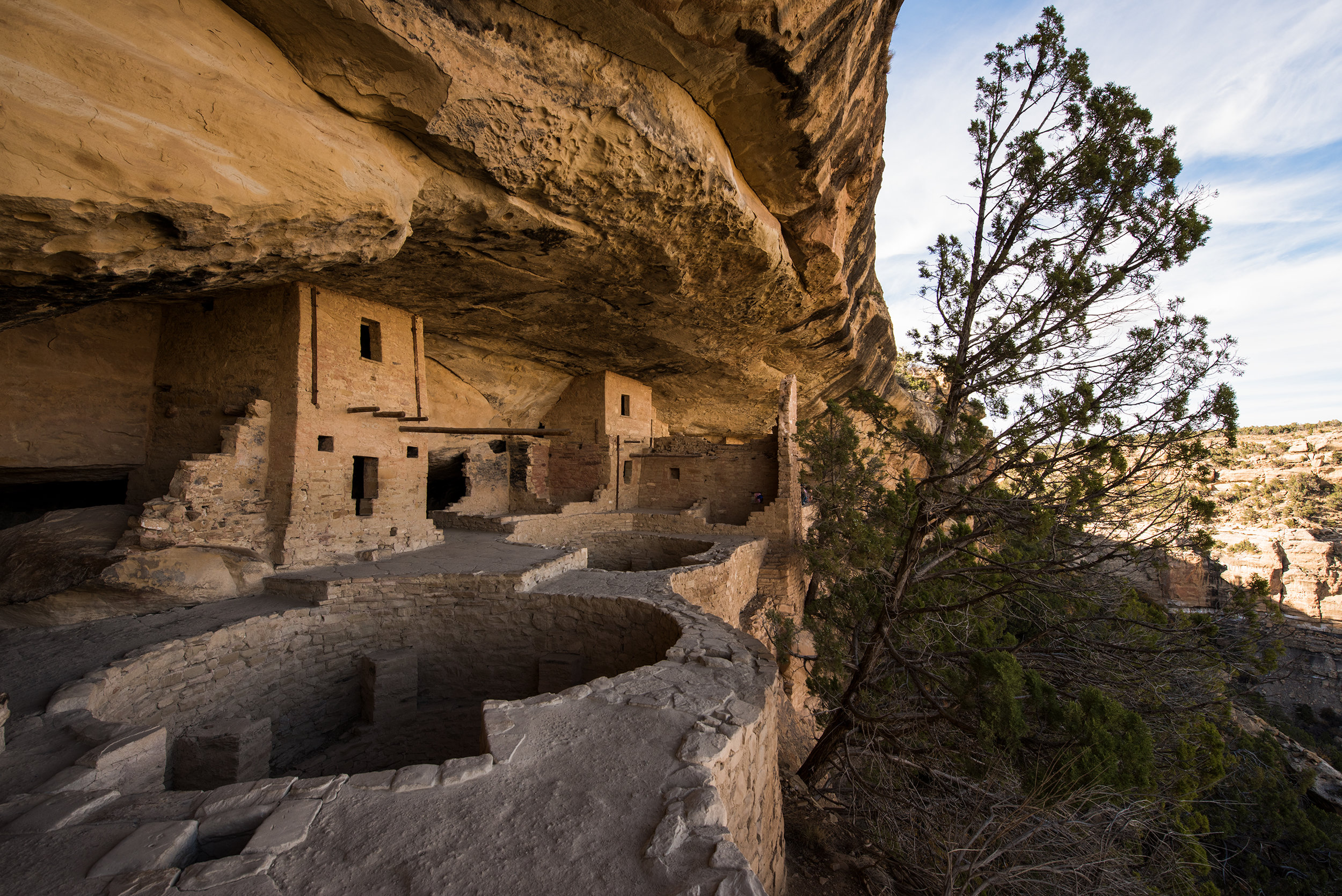  Mesa Verde 