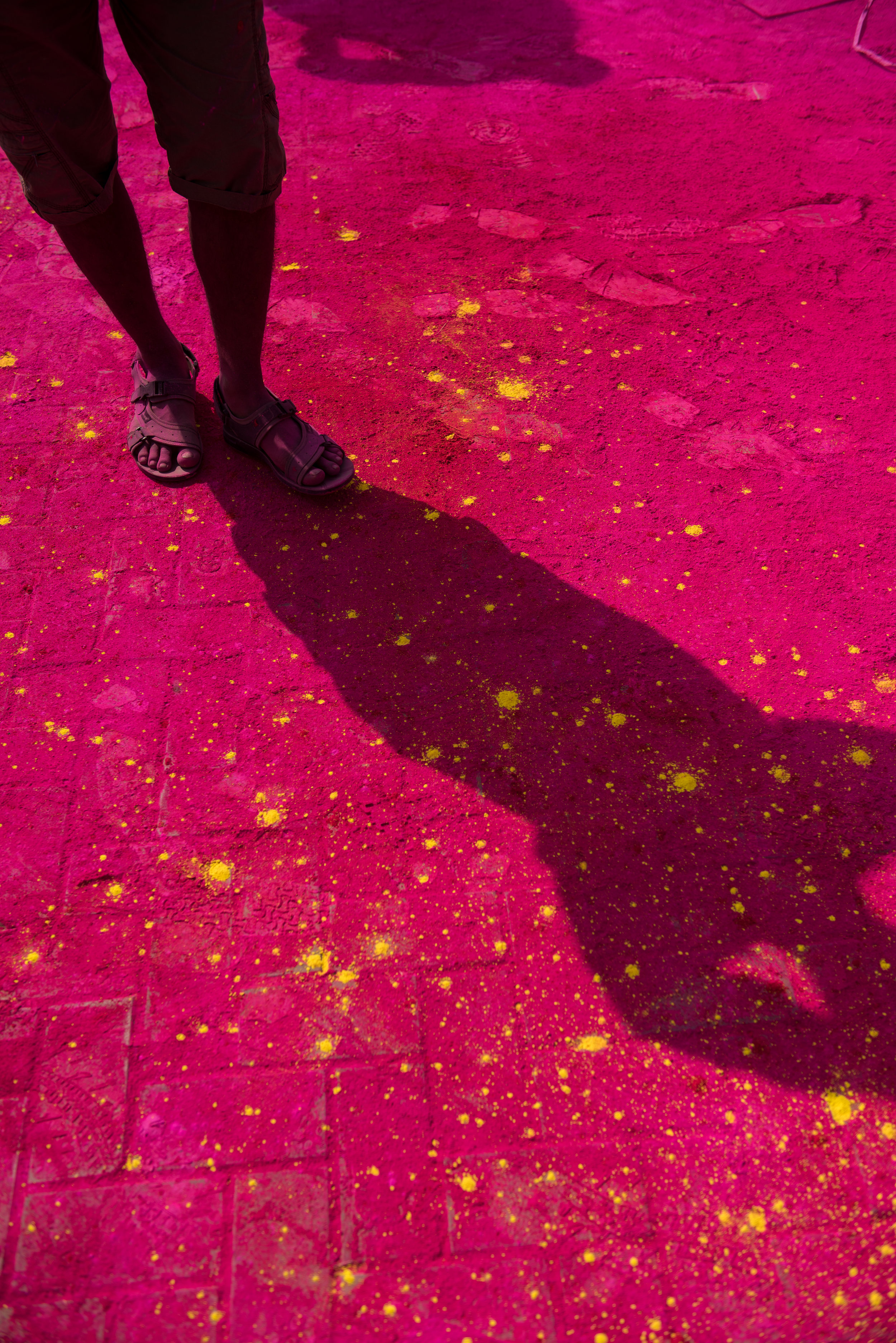  Holi, New Delhi 