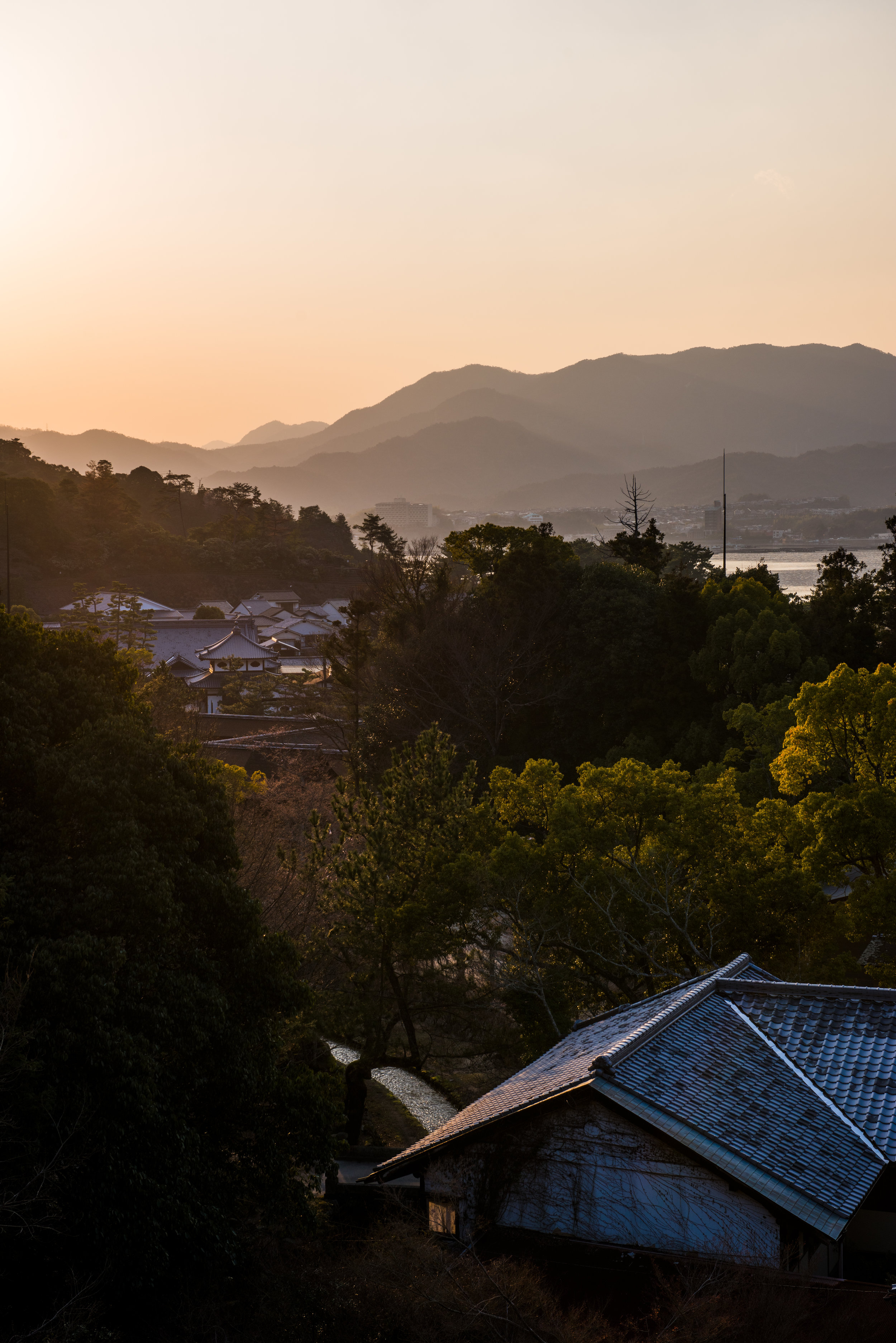  Miyajima 