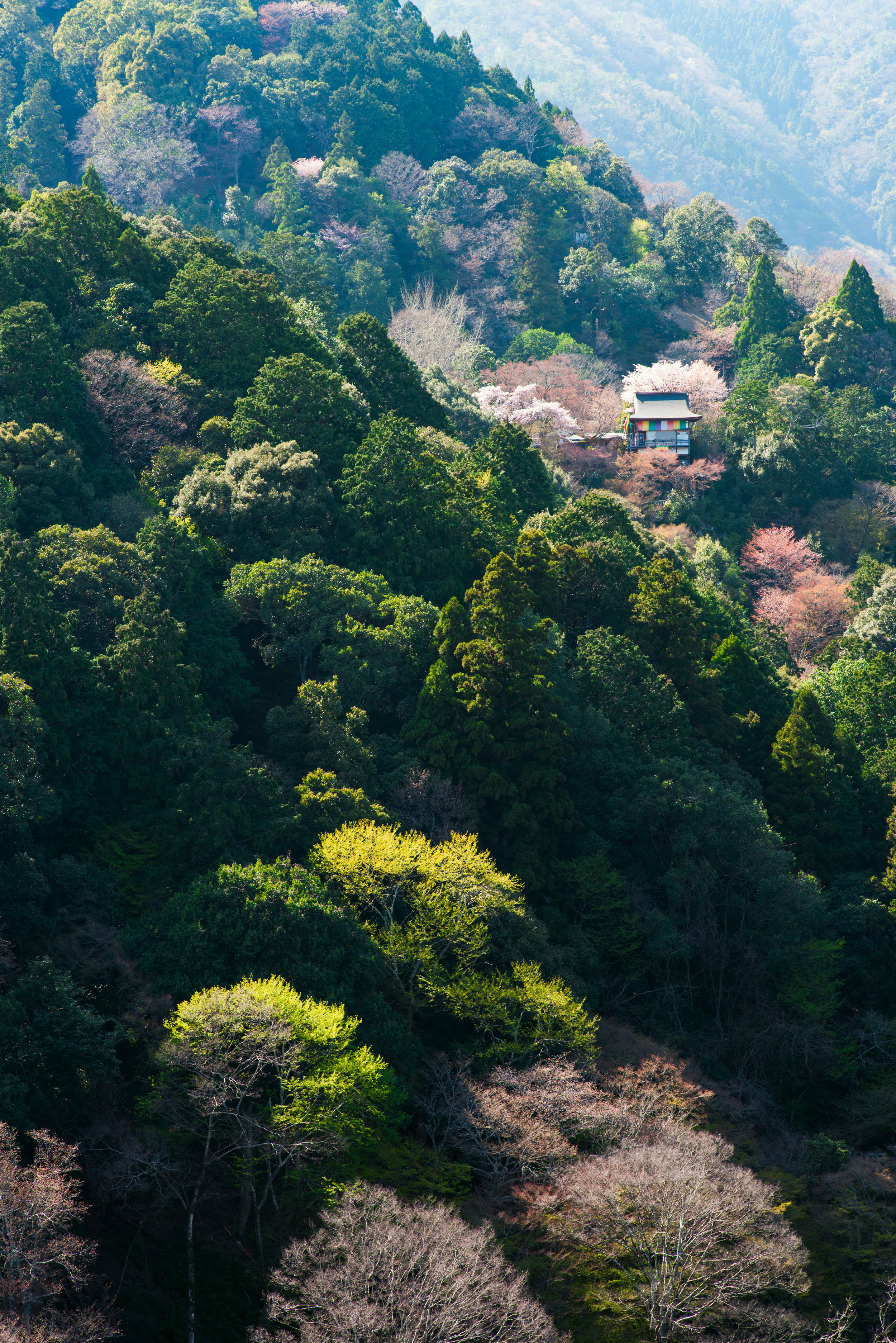  Senko-ji, Kyoto 