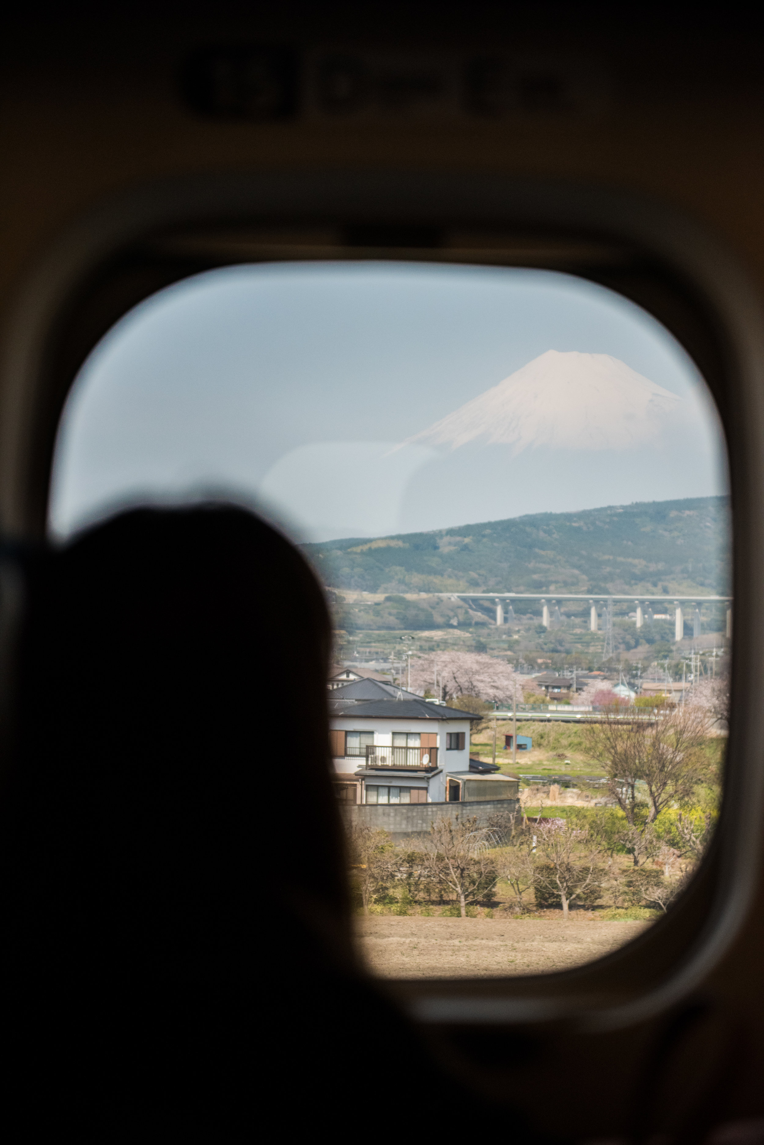  Fuji 