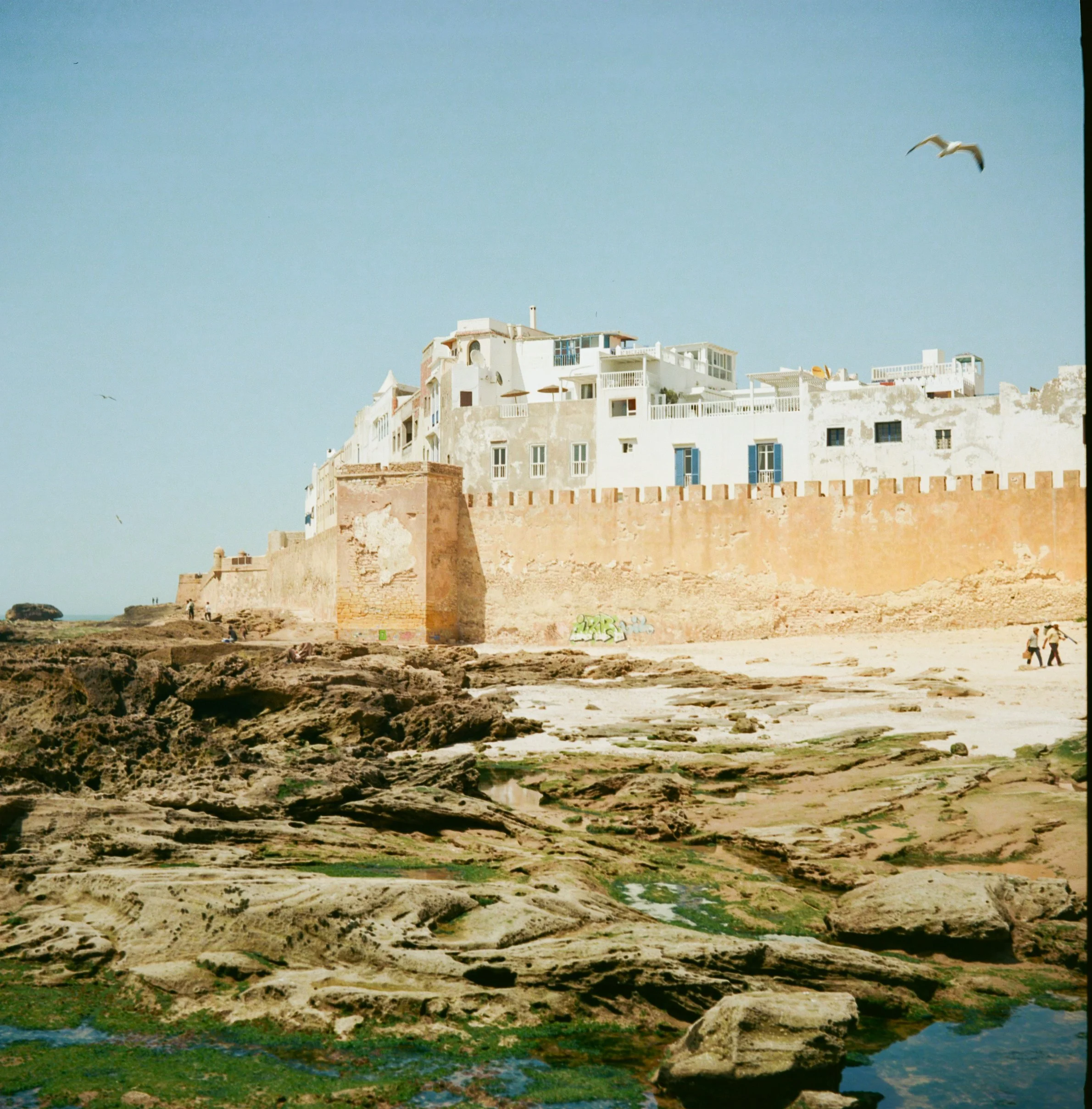 essaouira_rocks.jpg