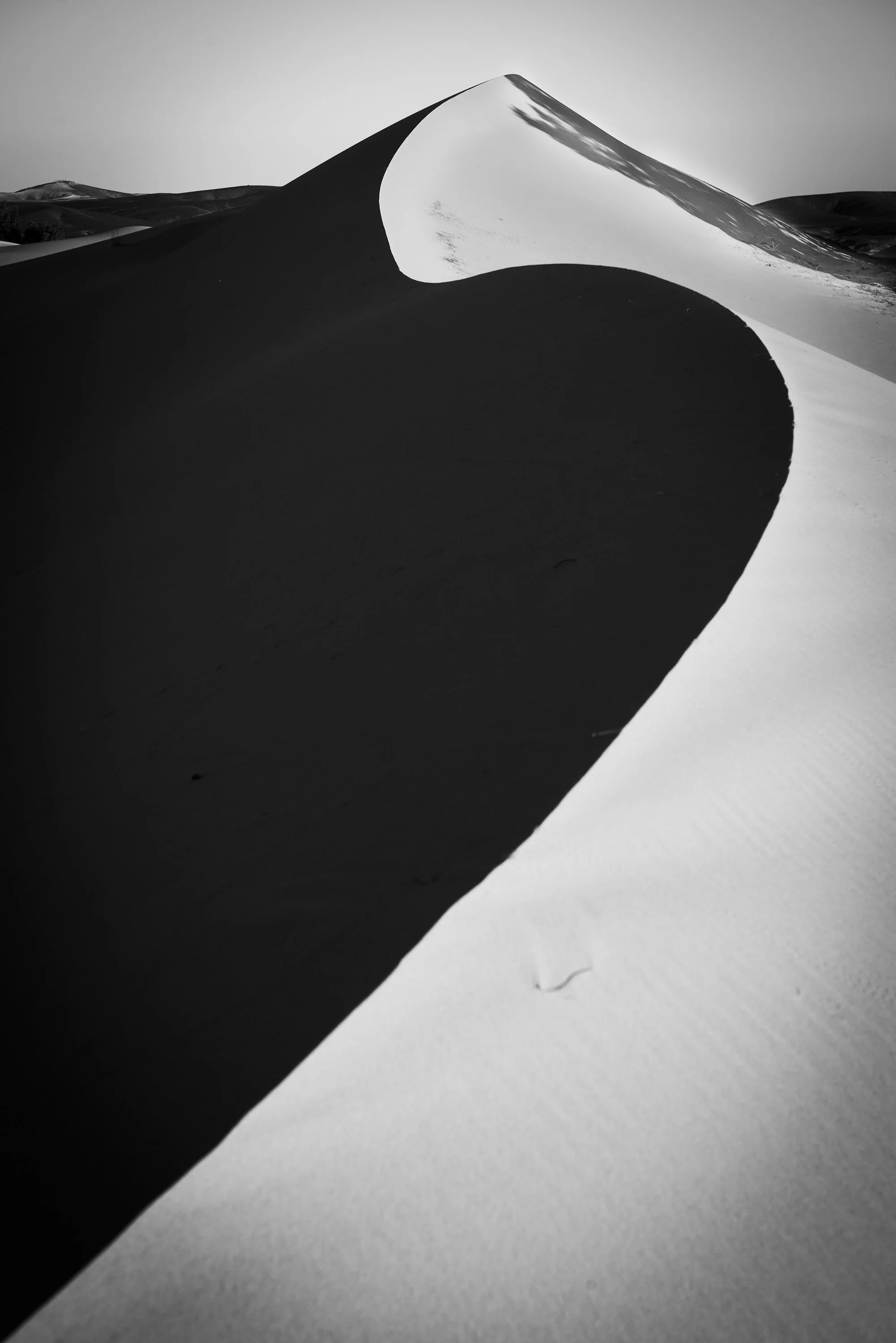 dune_bw_3000.jpg