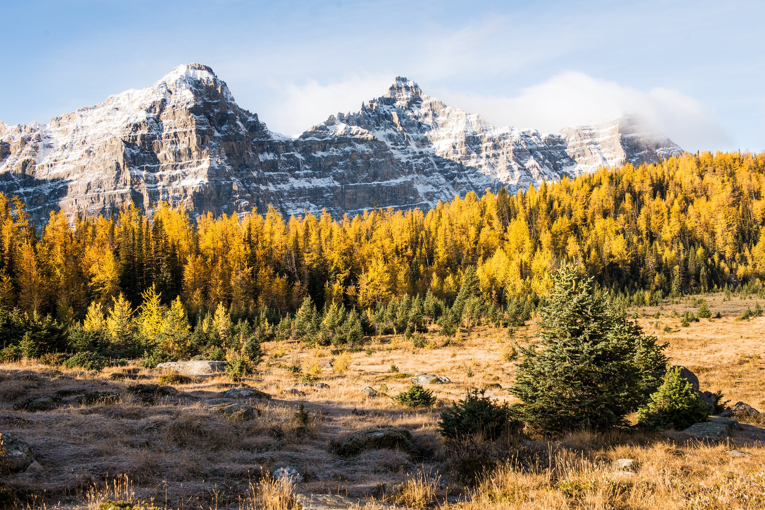 larch_valley_v2_3000.jpg