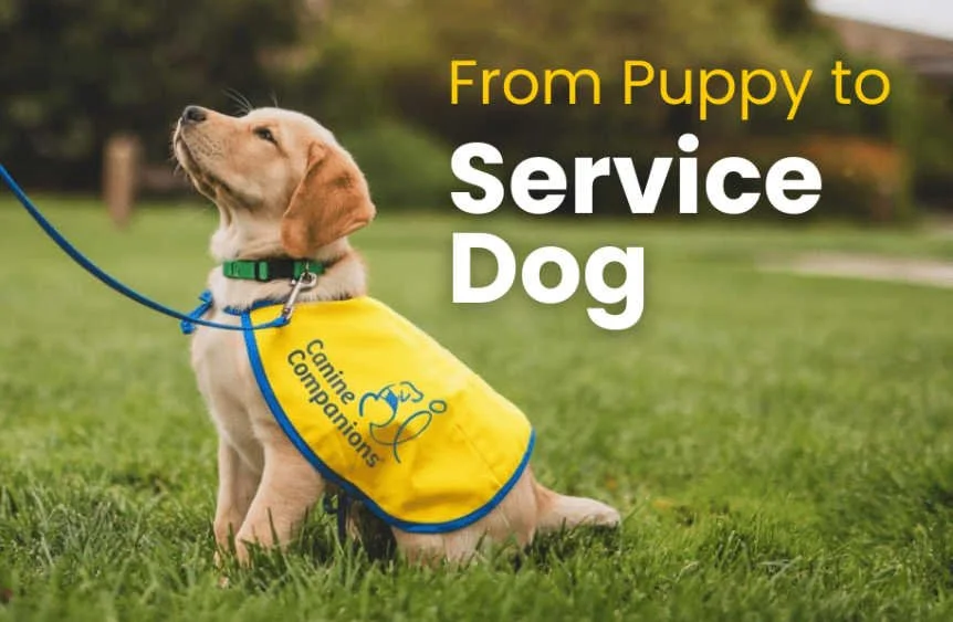 canine-companions-fundraiser