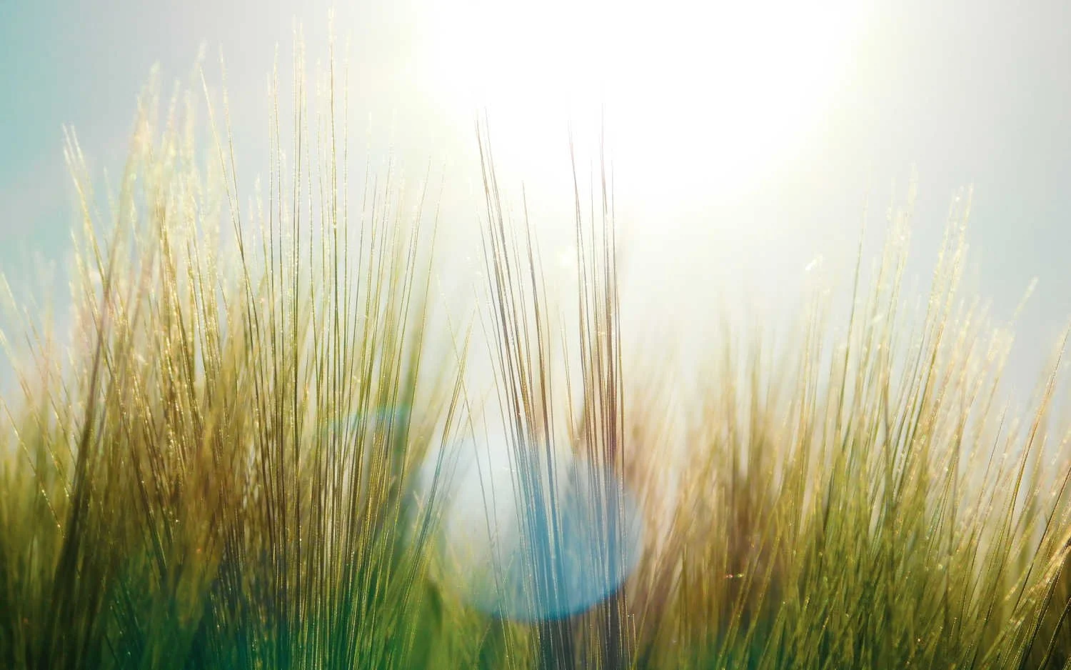 Human Growth and Energy
