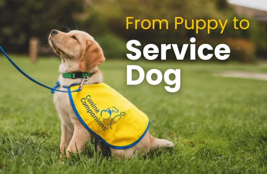 Canine Companions® Fundraiser