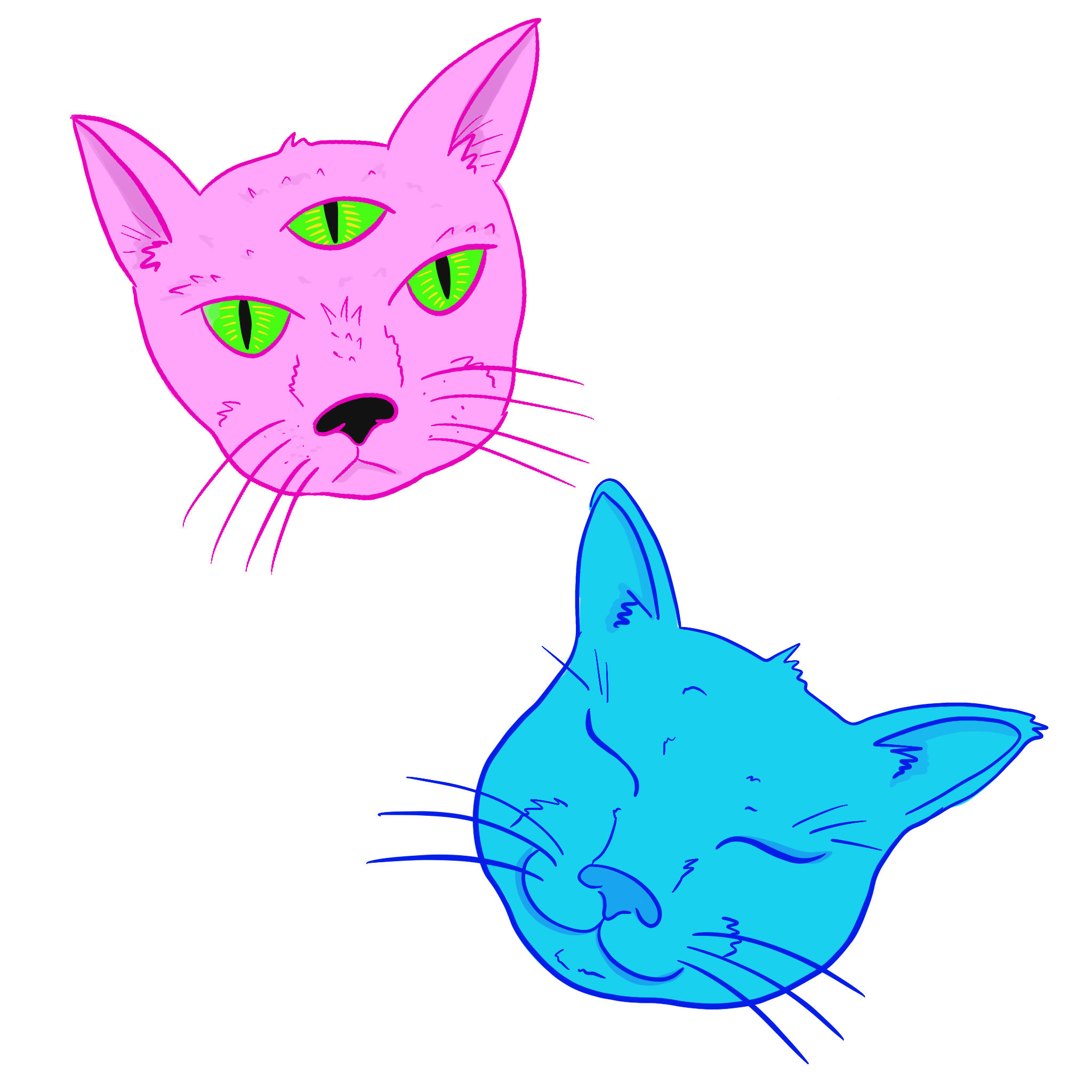 cats.png