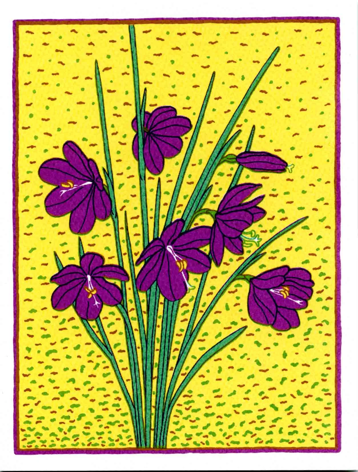 GRASSWIDOW
