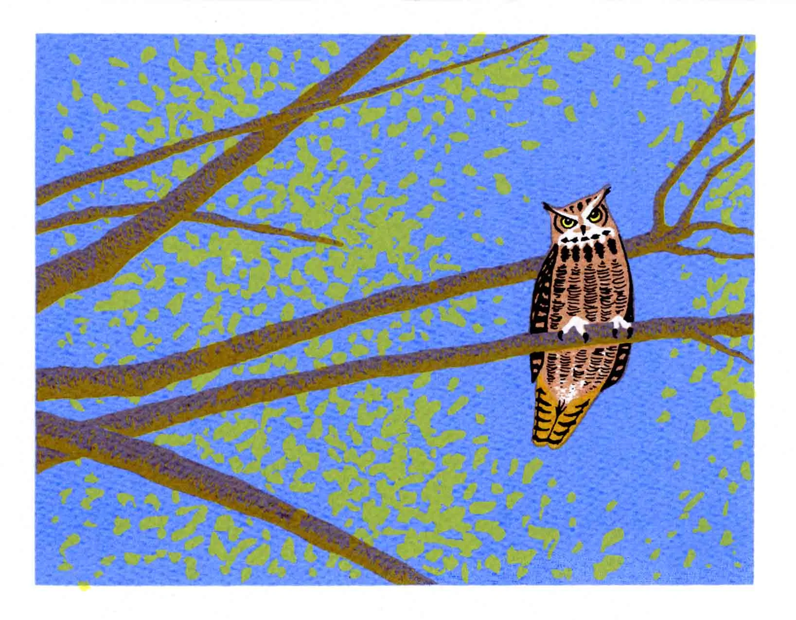 HORNED OWL