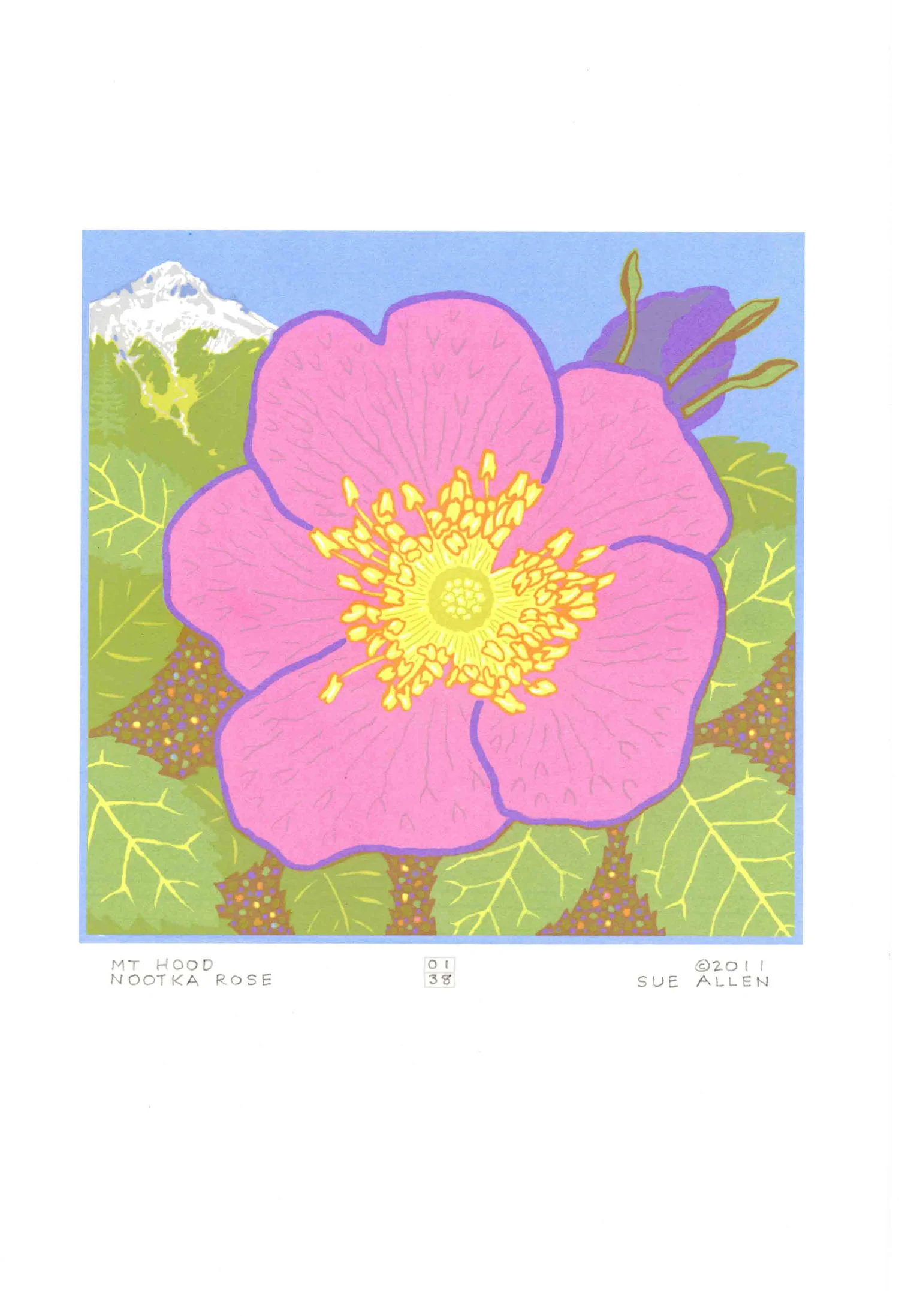 MT HOOD- NOOTKA ROSE ed: 38