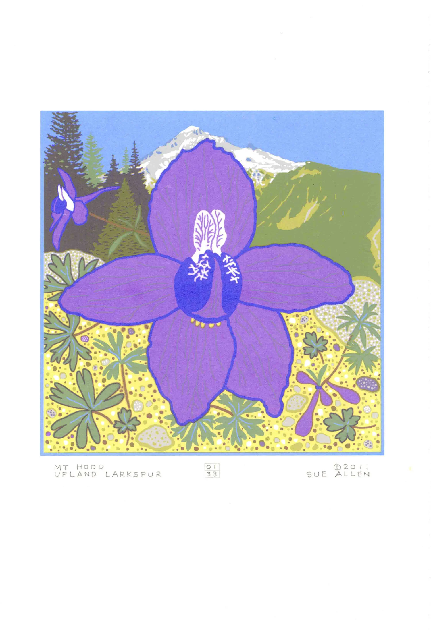 MT HOOD- UPLAND LARKSPUR ed: 33