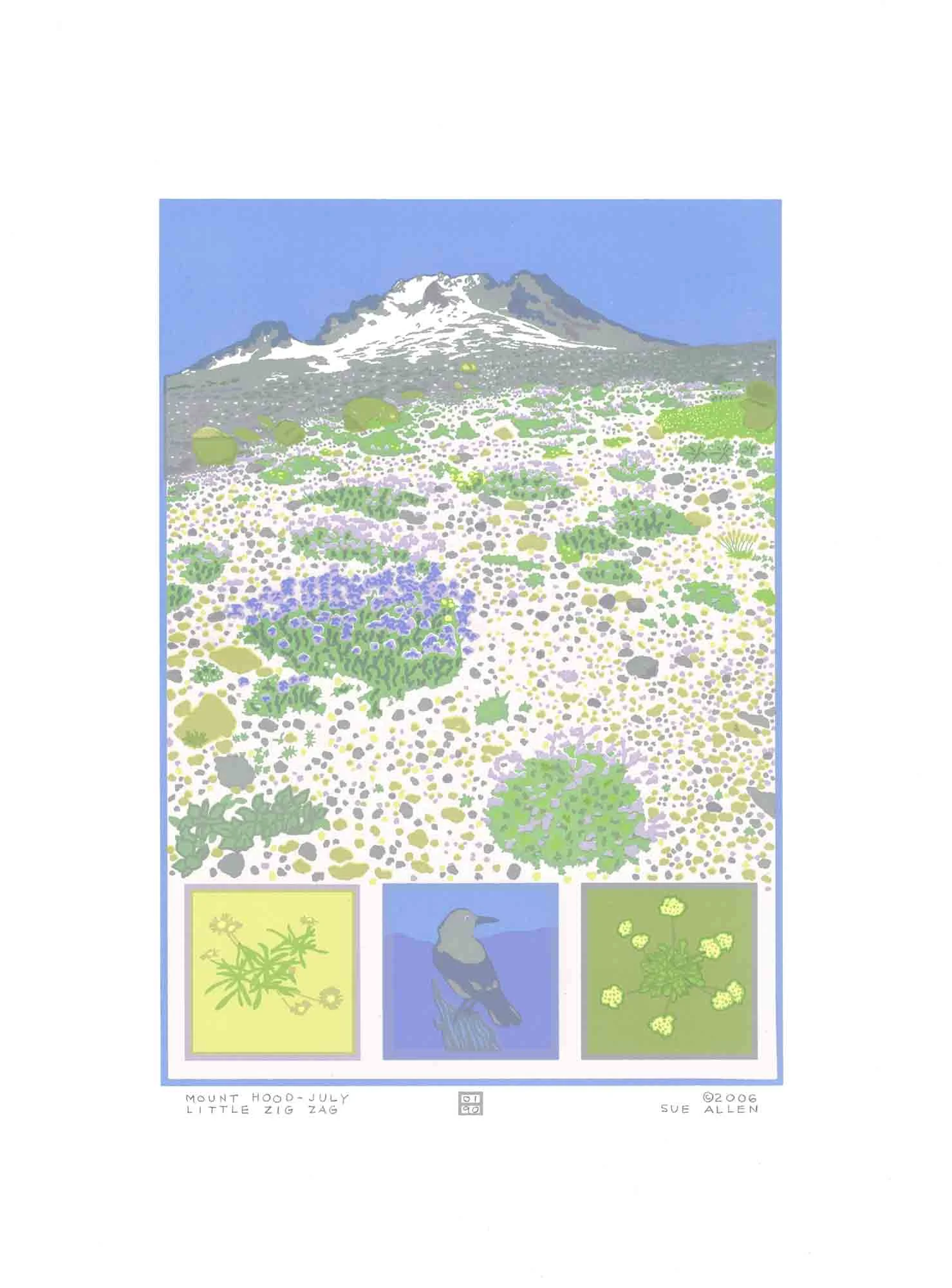 MT HOOD-JULY. LITTLE ZIG ZAG