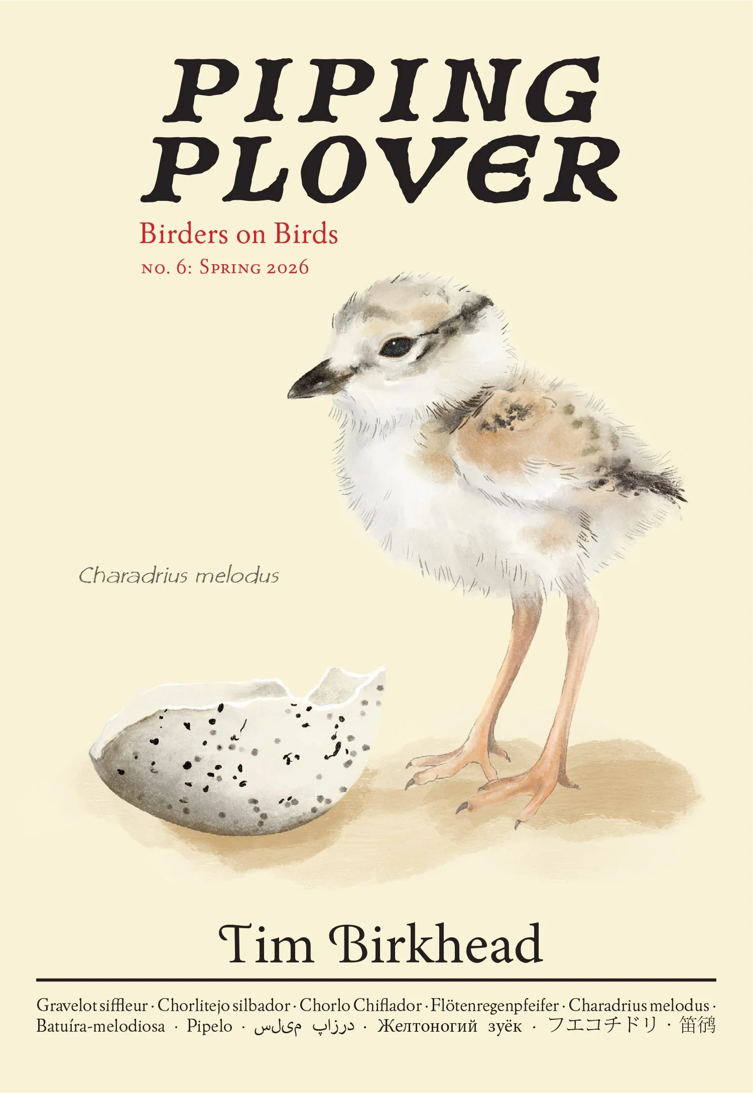 PipingPlover-DigitalCover.jpg