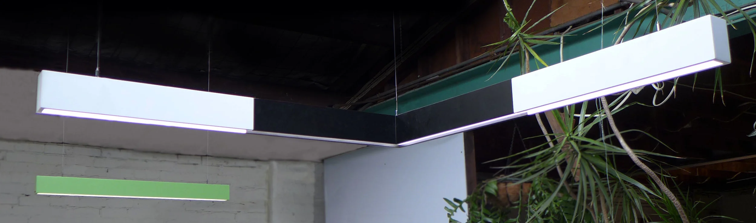 Kurtz colour options