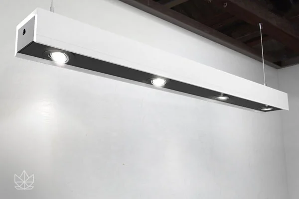 600x400px_0003_Rango slim.jpg