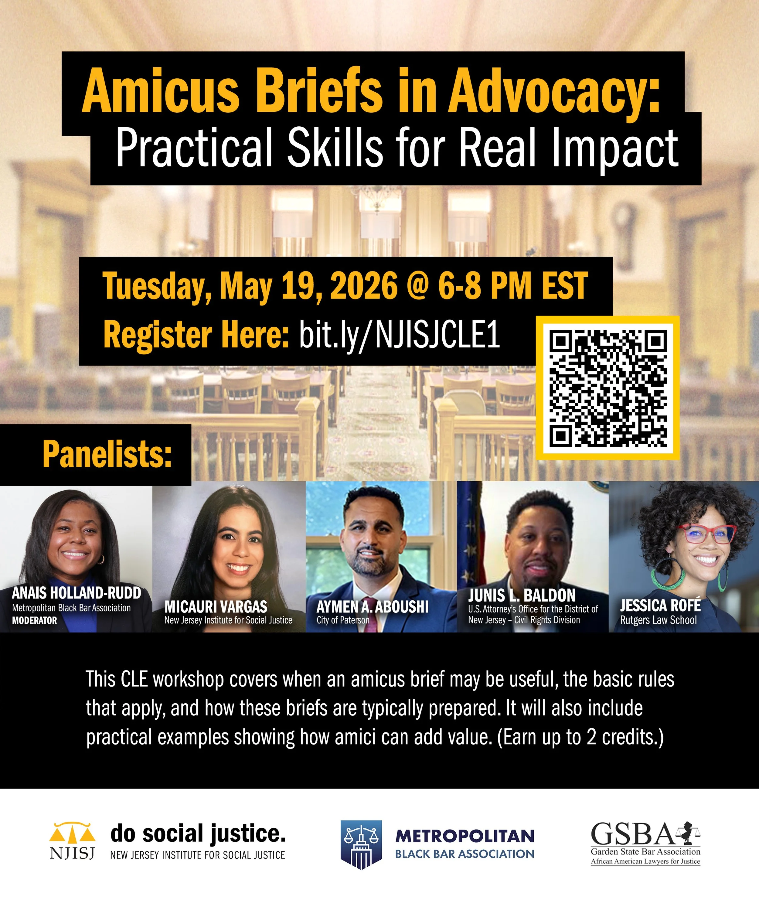 Amicus Briefs in Advocacy: Practical Skills for Real Impact
