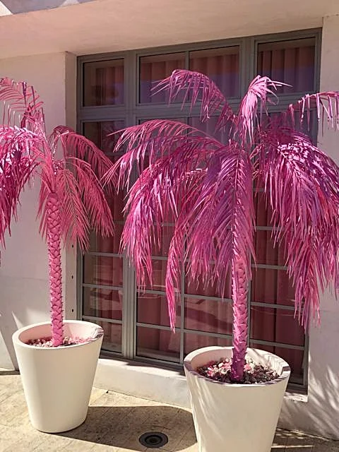 Palm trees.jpg