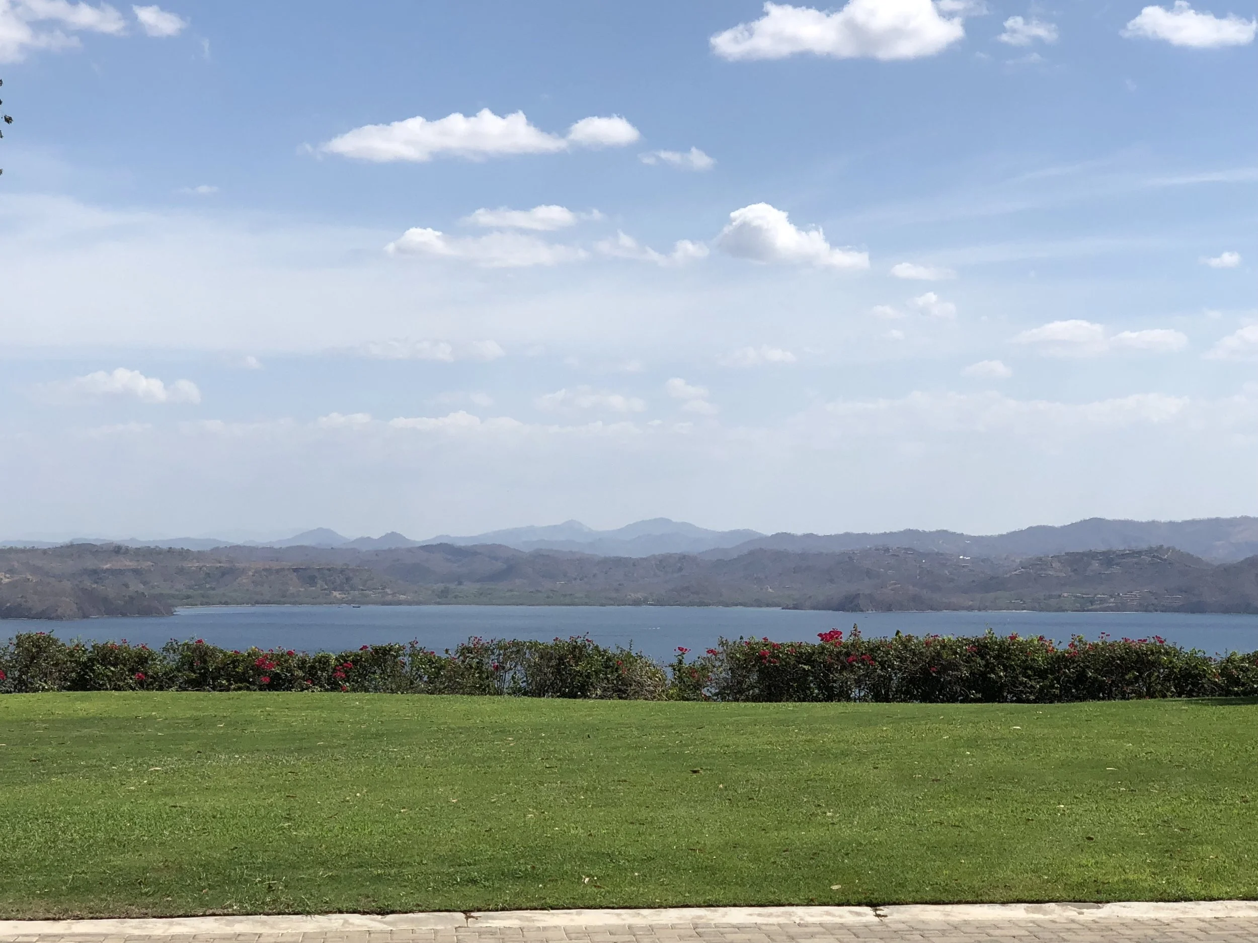 Welcome to Papagayo