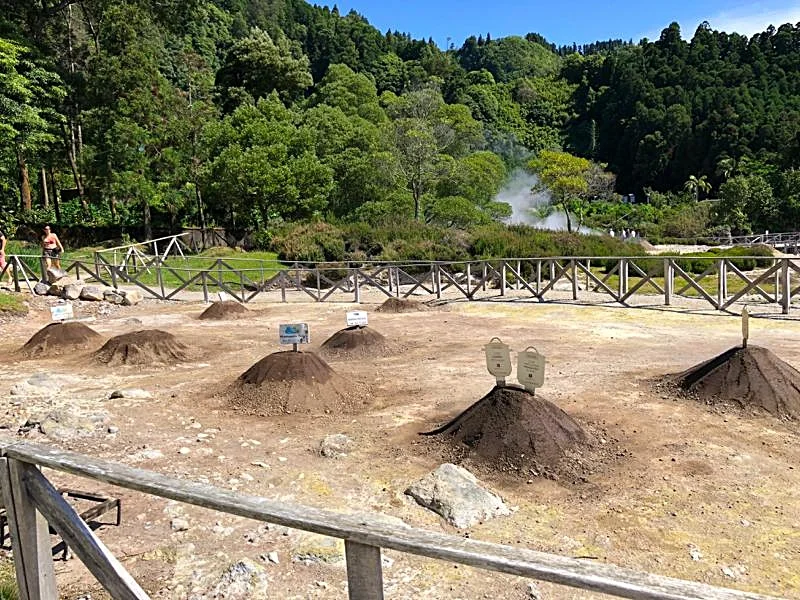 The Fumaroles