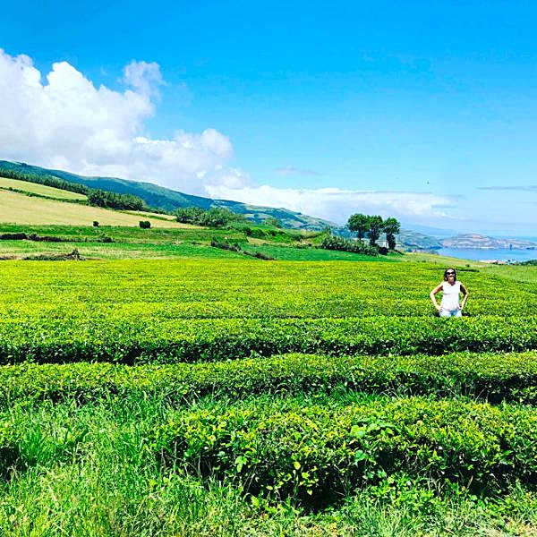 Exploring Sao Miguel, The Capital of the Azores